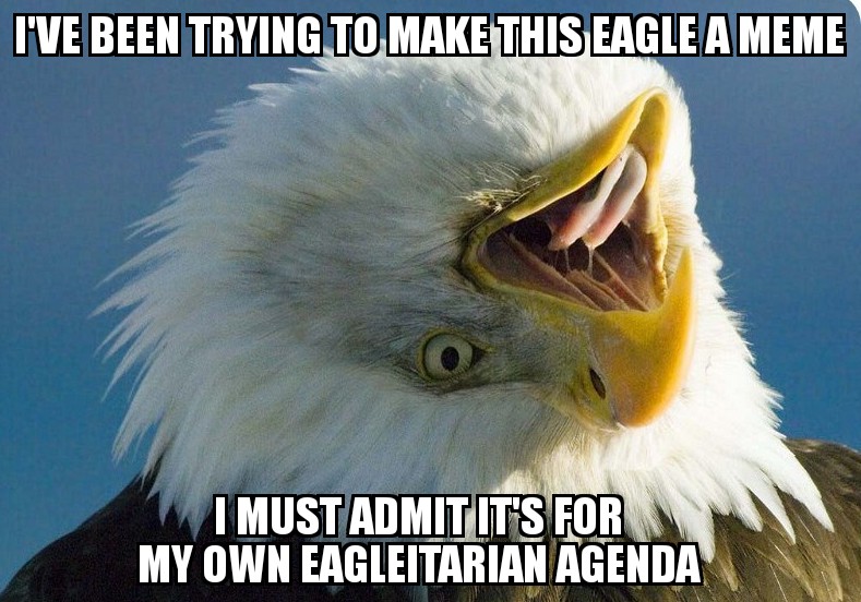 43 Hilarious Eagle Puns Punstoppable 🛑