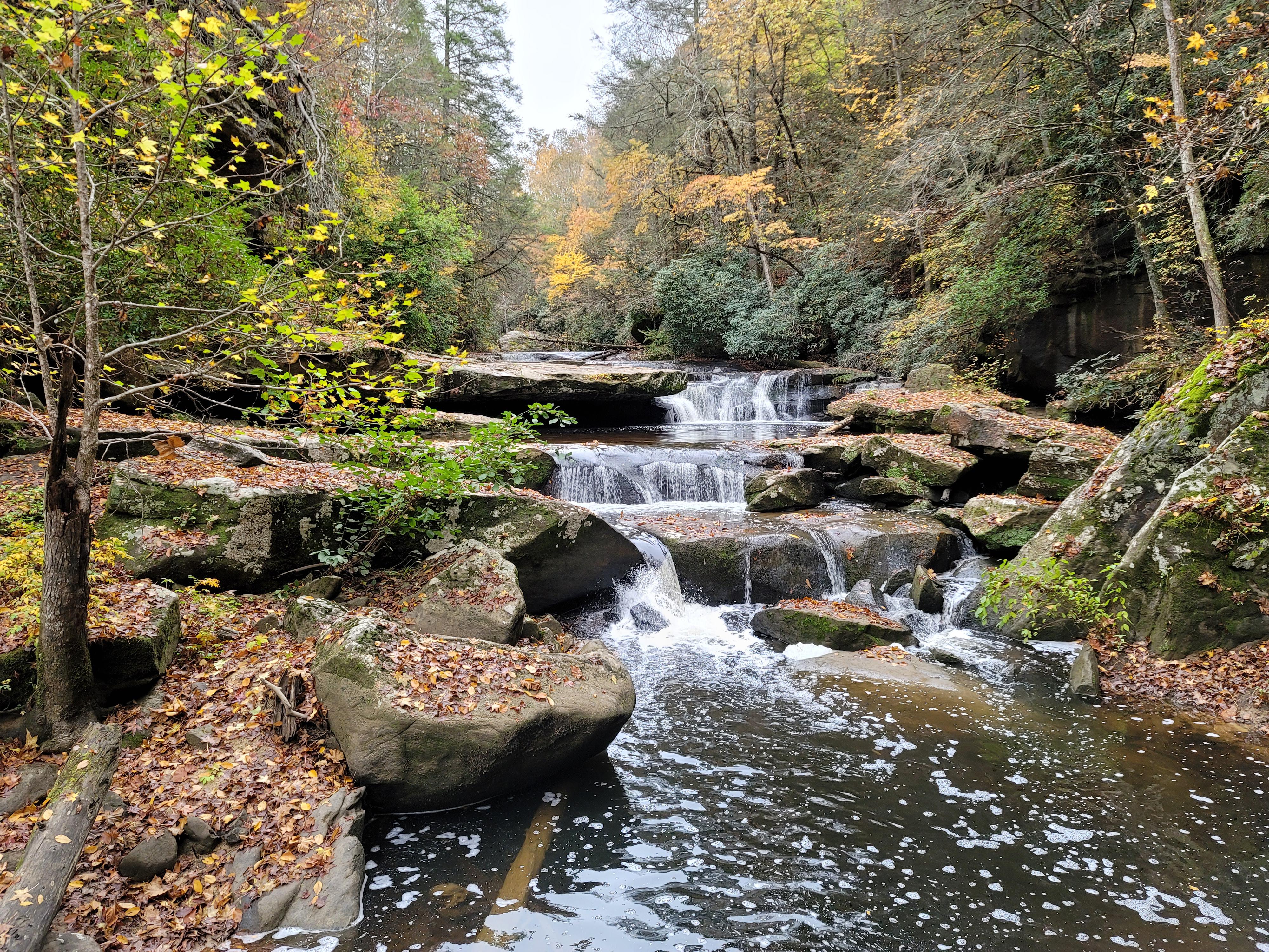 Waterfall in Daniel Boone National Forest KY [OC] [4000x3000] r/EarthPorn