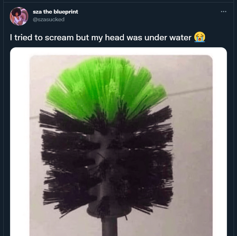 grammy winning toilet brush r/memes