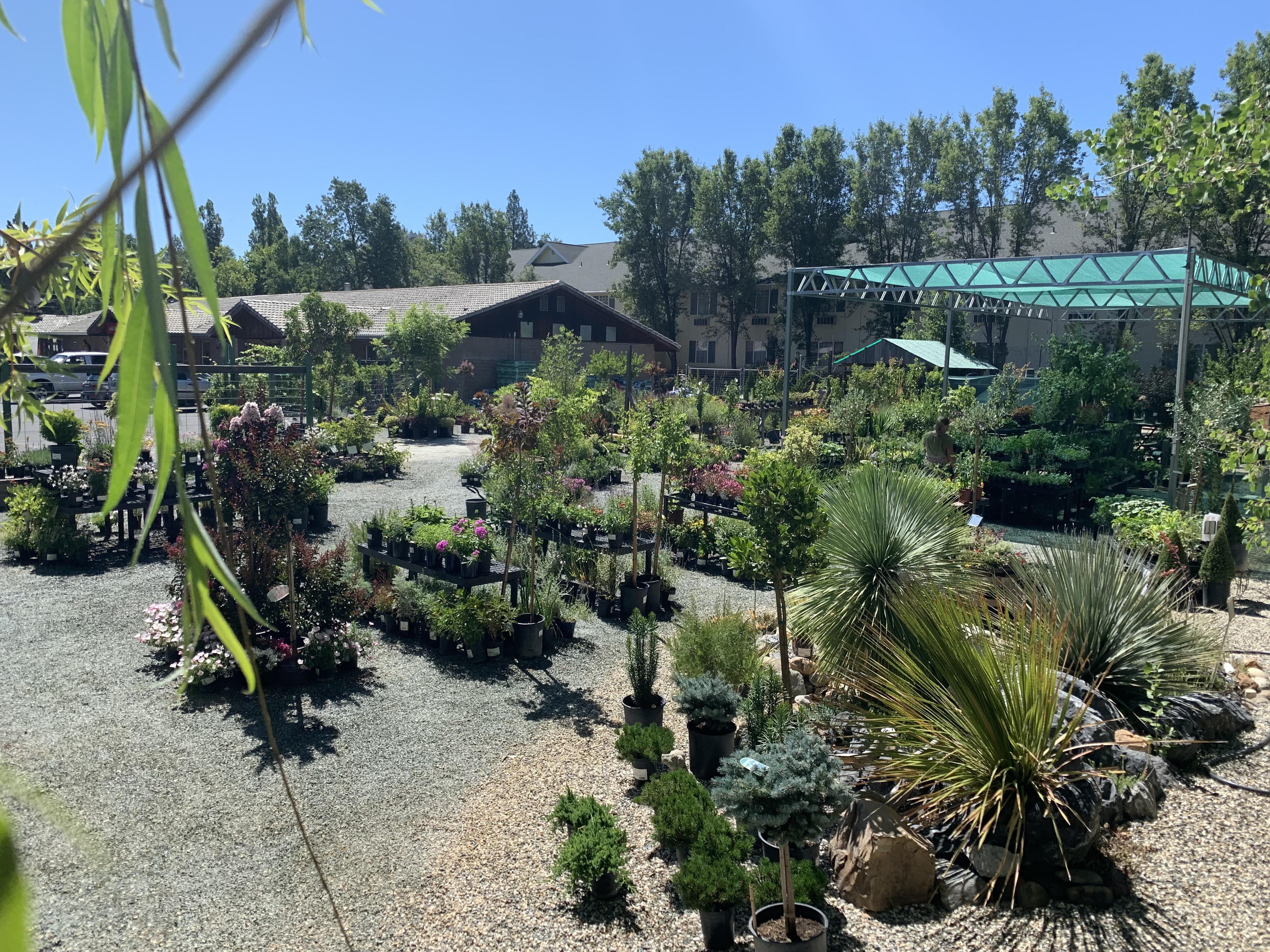 Recently opened my own Nursery in Northern California! r/gardening