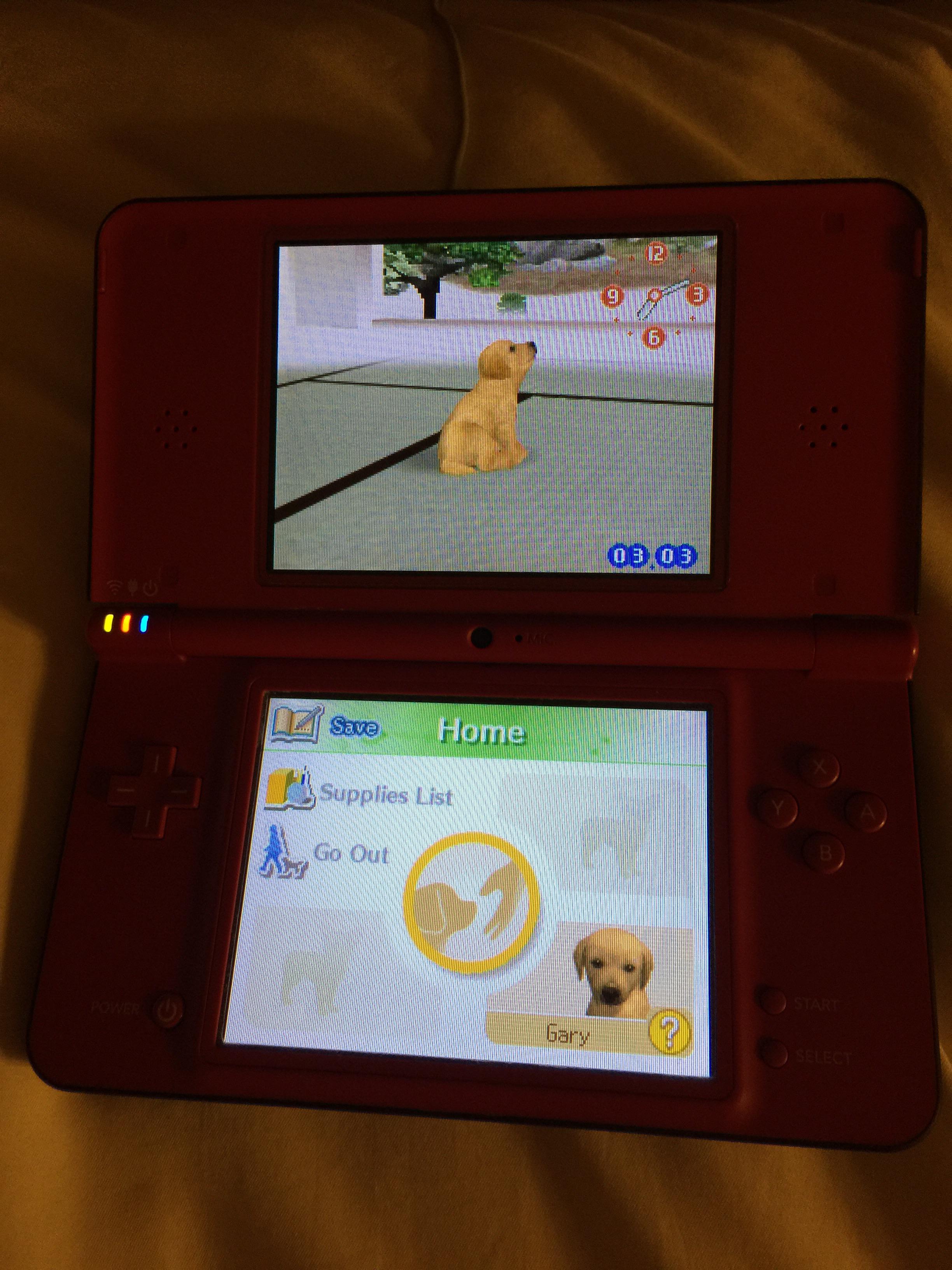 I just bought a ds and a handful of games recently. Nintendogs hits