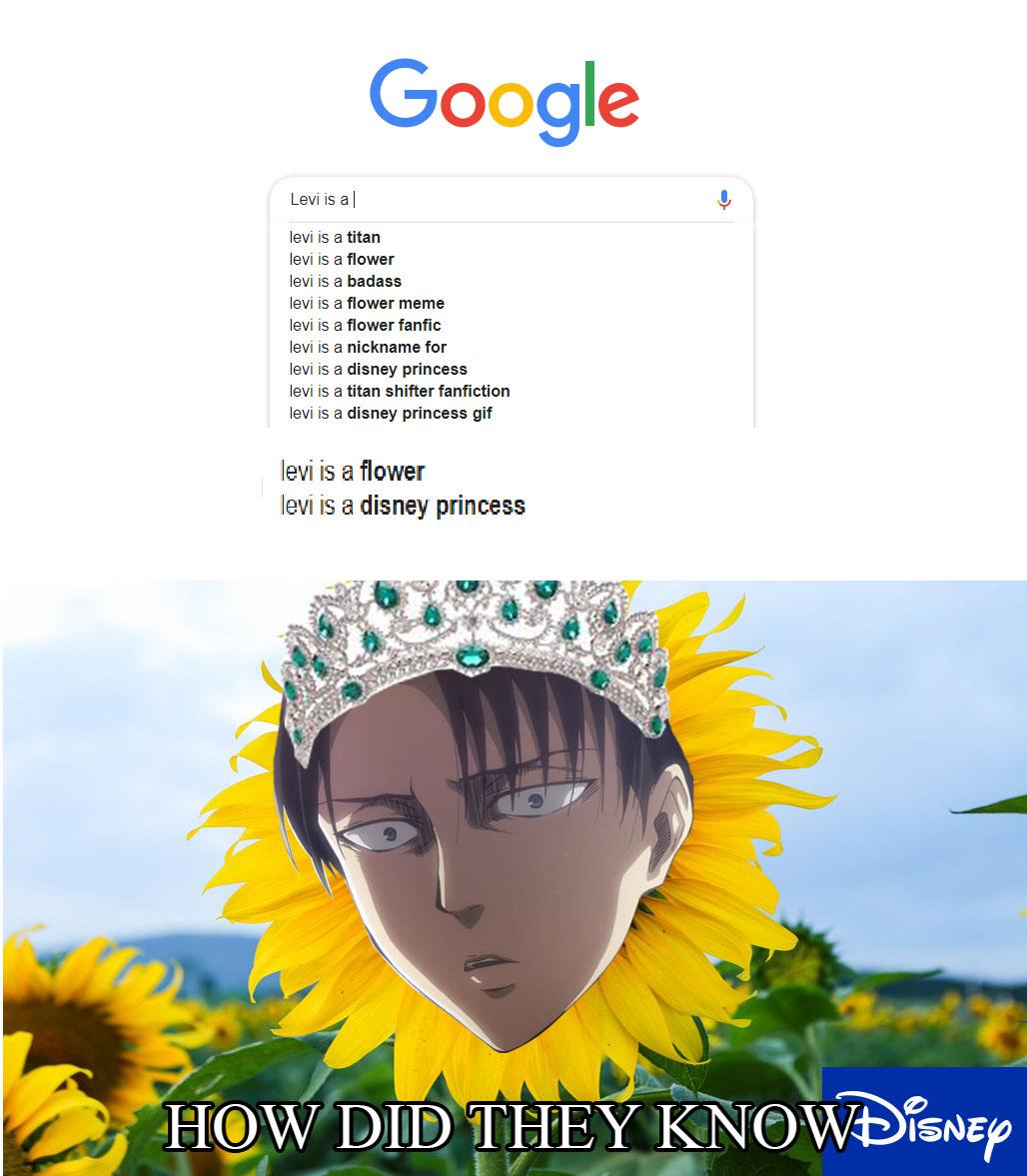 All hail levi the princess r/Animemes