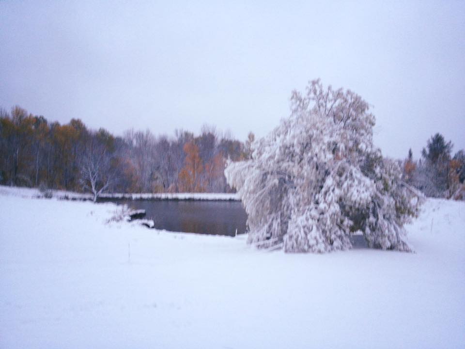 Several inches of snow in Hyde Park this morning! r/vermont