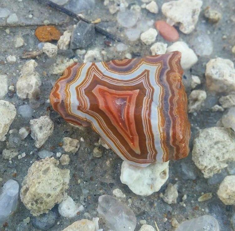 As found photo of a Fairburn Agate from South Dakota. I call this one