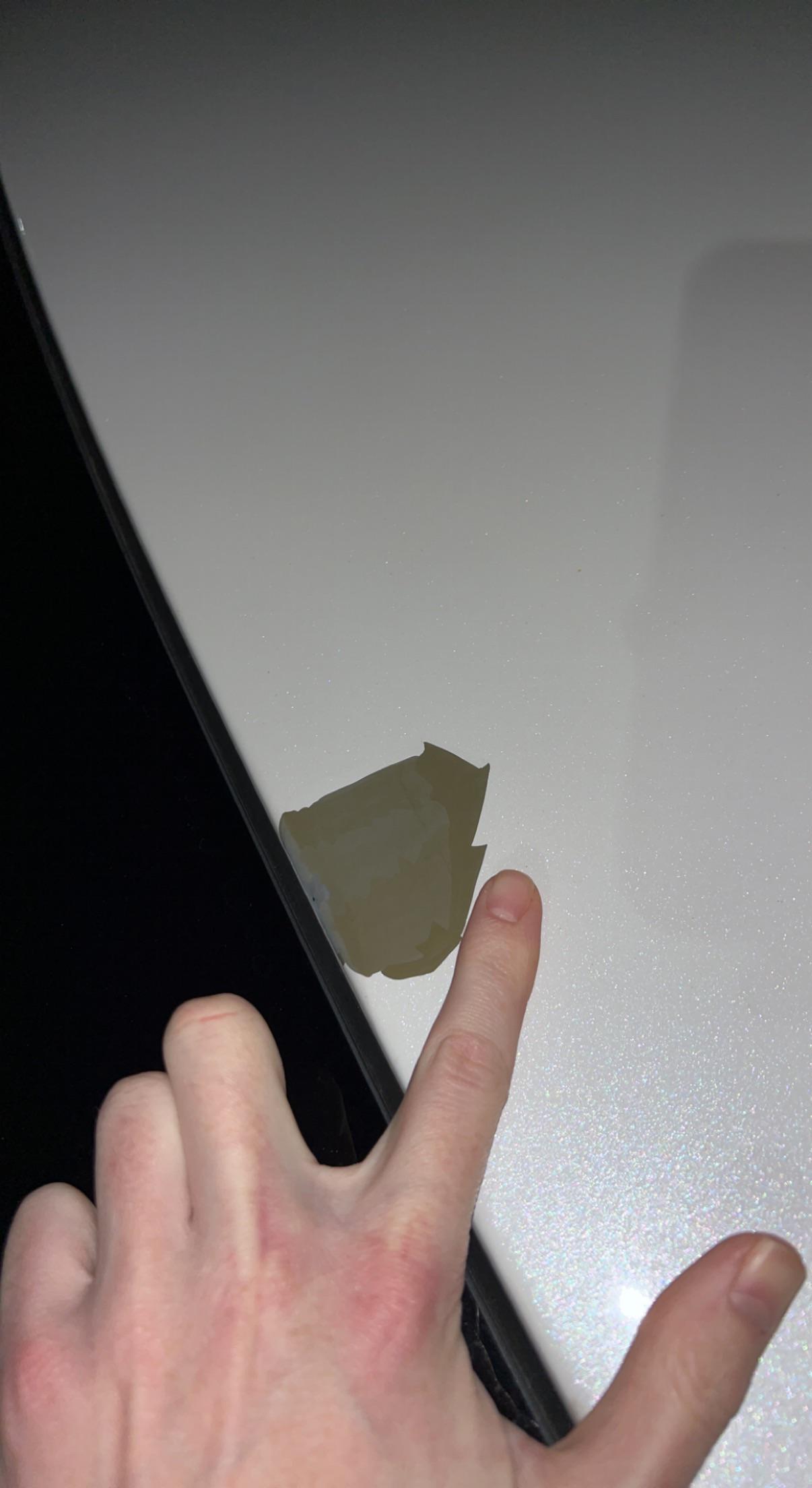 Any advice to fix this paint chip? An automatic car wash really did me