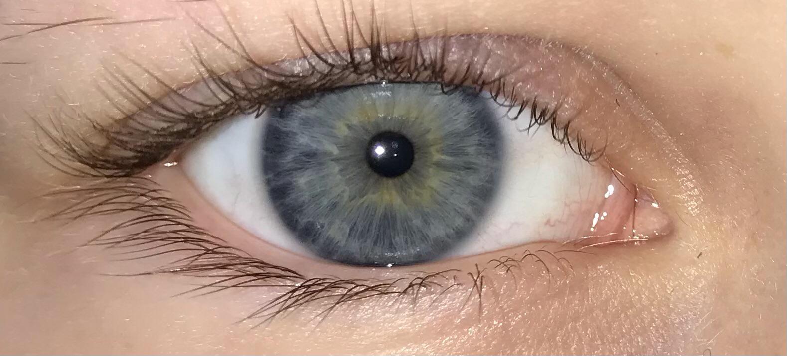 Grey or just a dark blue? r/eyes