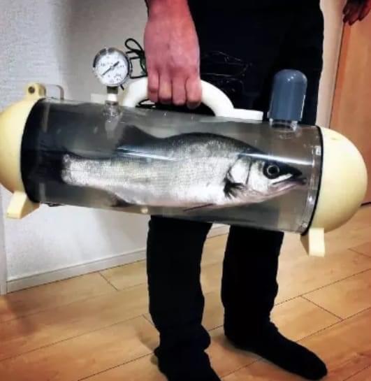 New briefcase just dropped r/HiTMAN