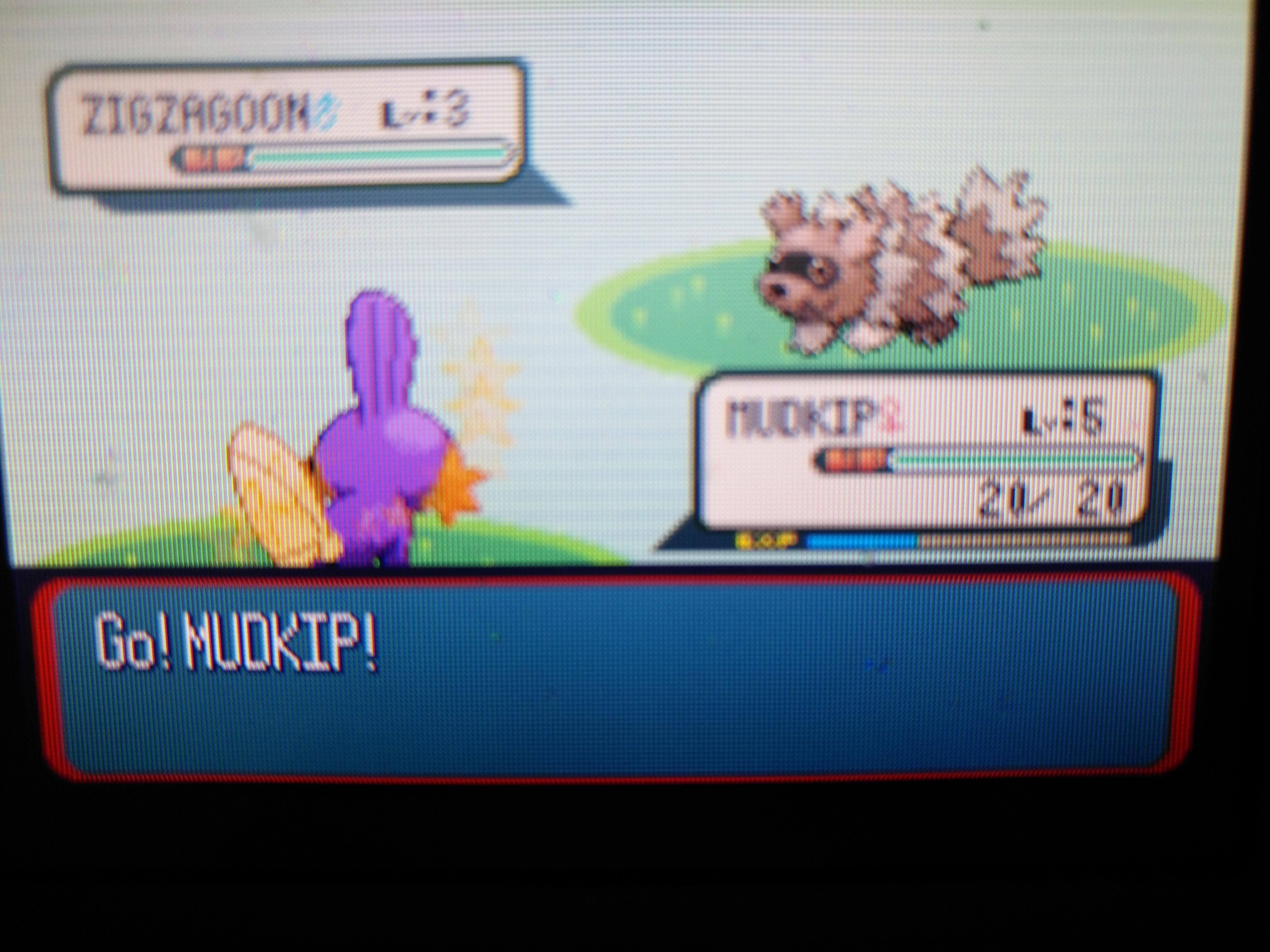 [Gen 3] Shiny female Mudkip in Sapphire after 10 836 SR's! (Only 1