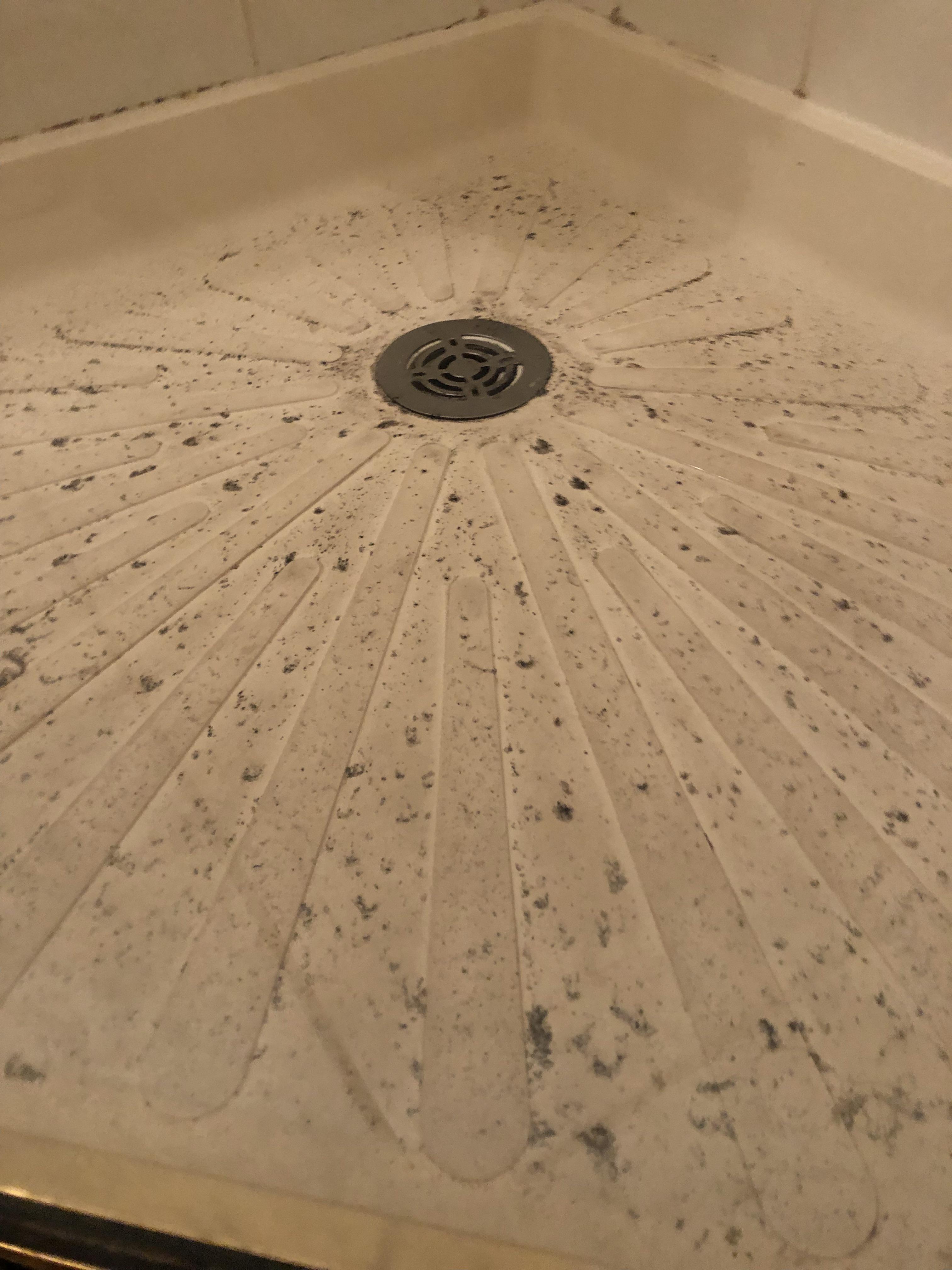 Raining hard in the northeast, this came out of shower drain what