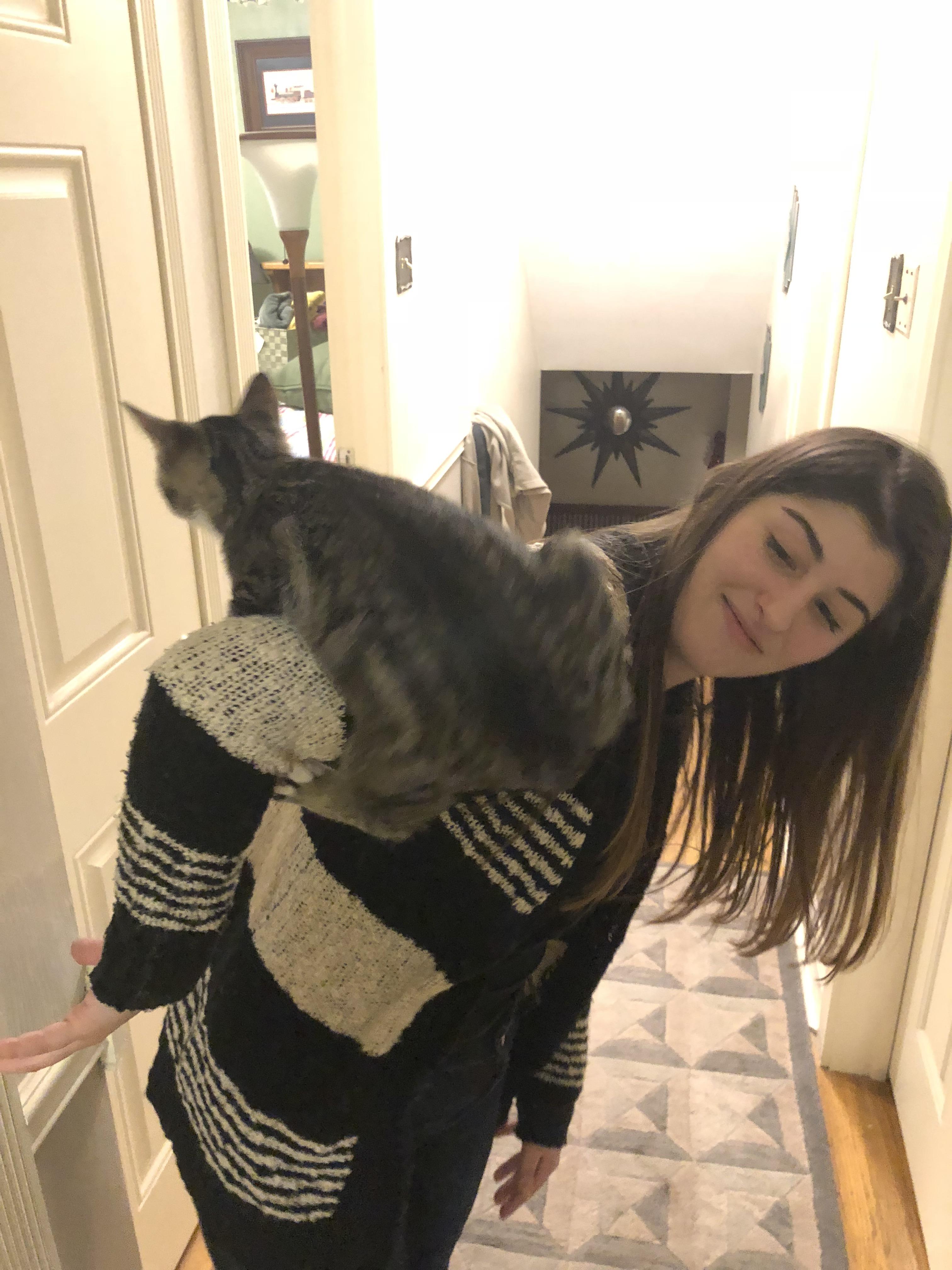 He usually doesn’t stay on your shoulder long and doesn’t know the