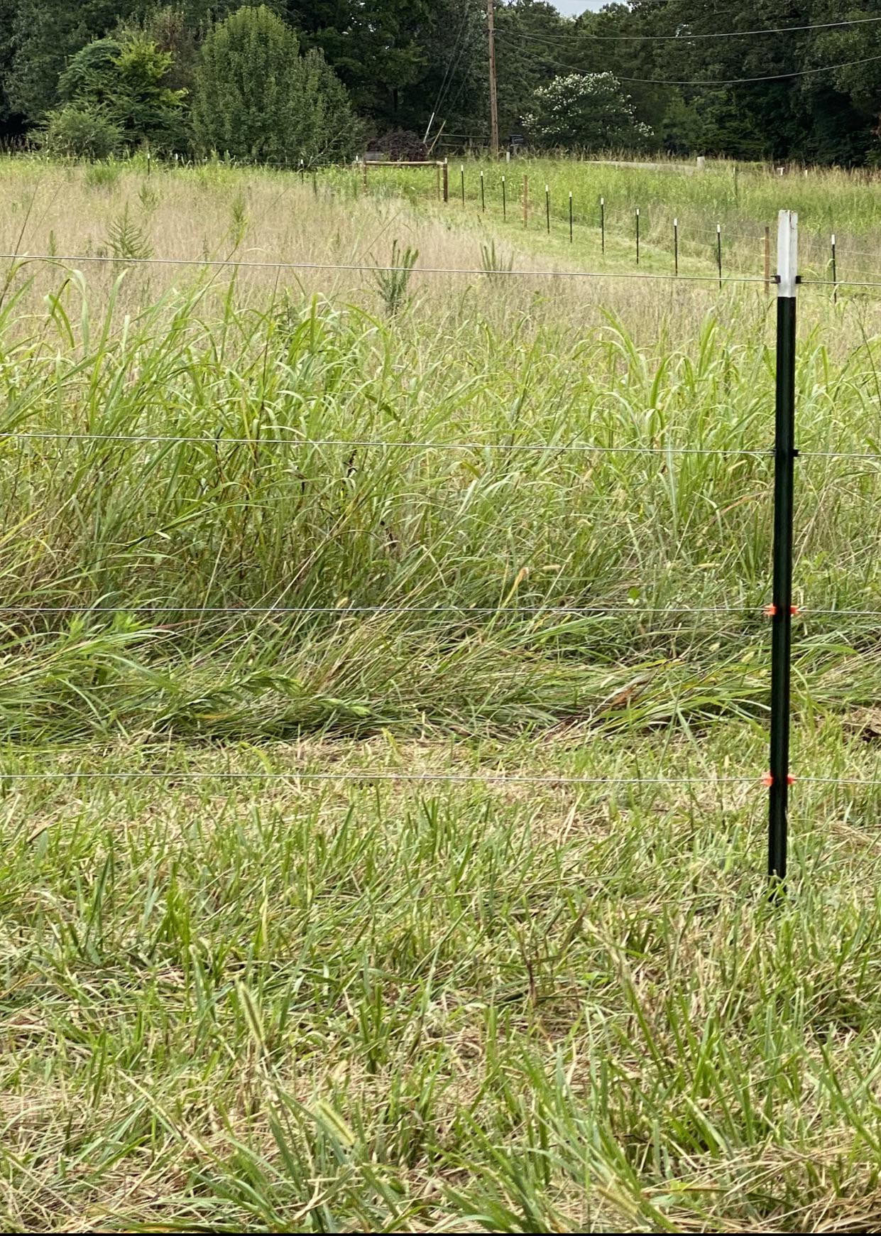 Will this fence work for Goats? r/goats