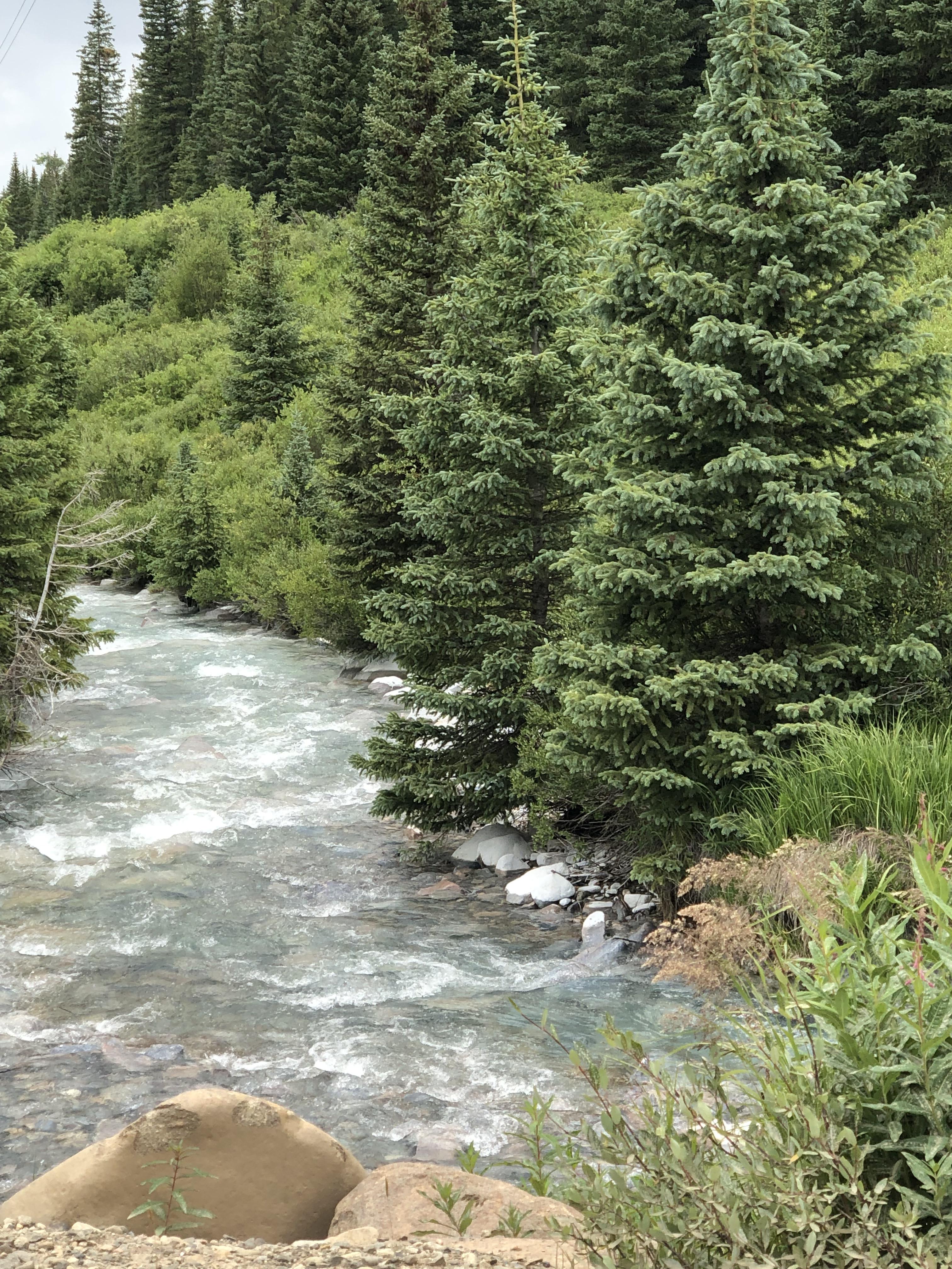 Near Idaho springs, CO r/Outdoors