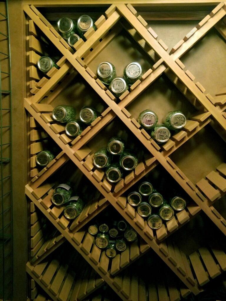 My wine cellar has a new look! r/trees