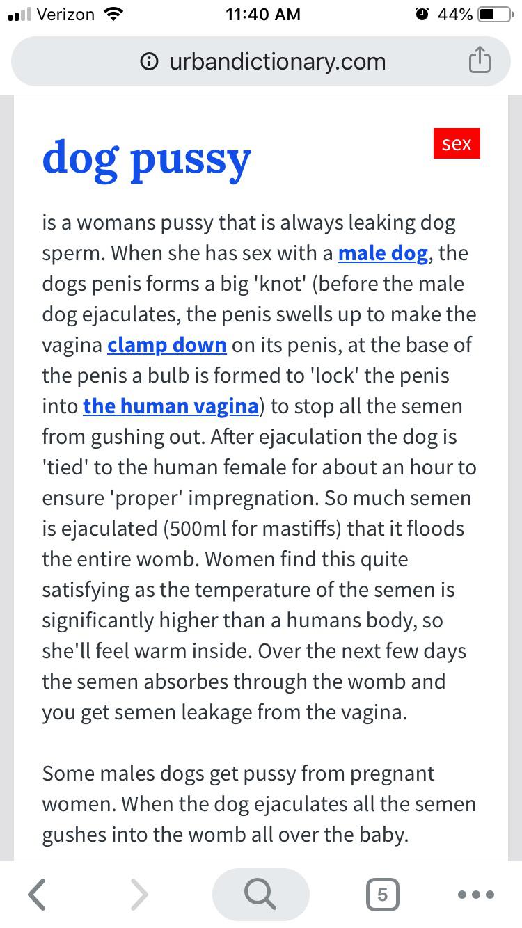 overview for TheStarFox11