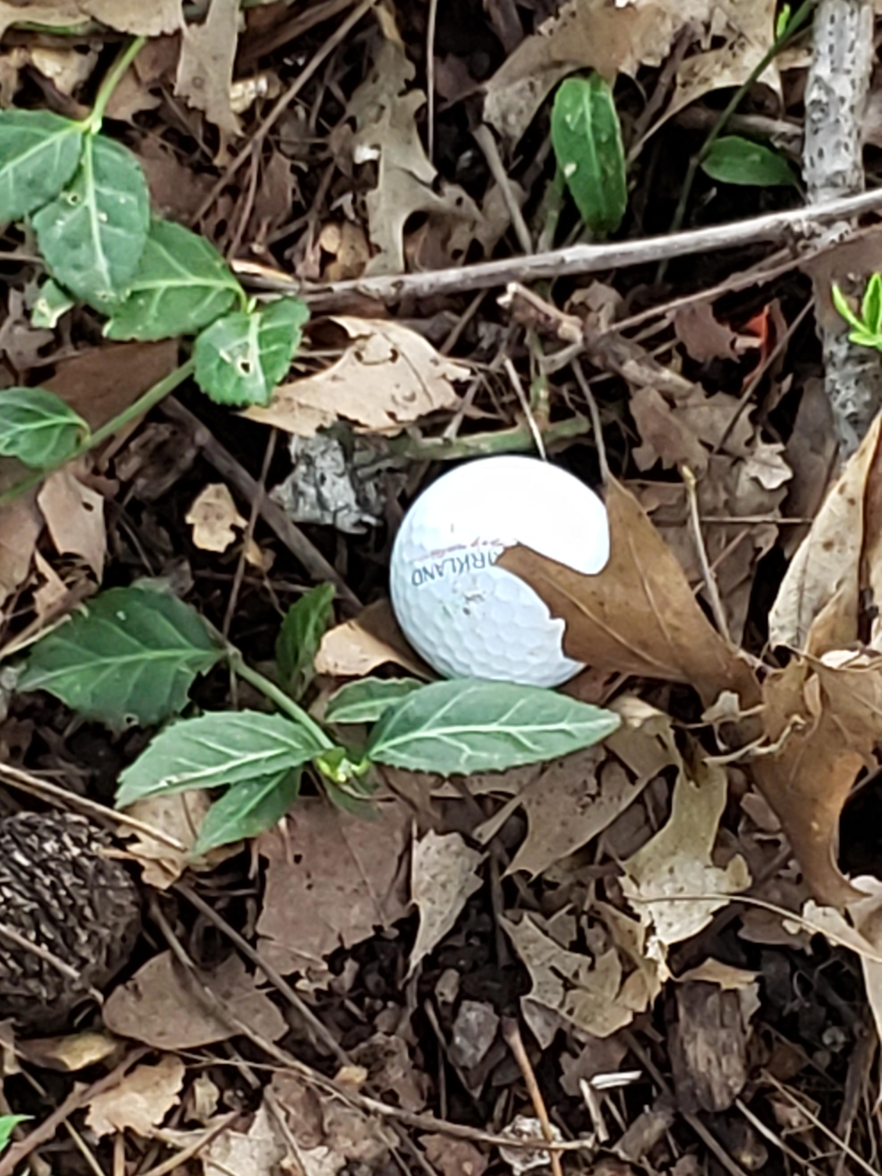 What Happens To Golf Balls In Water