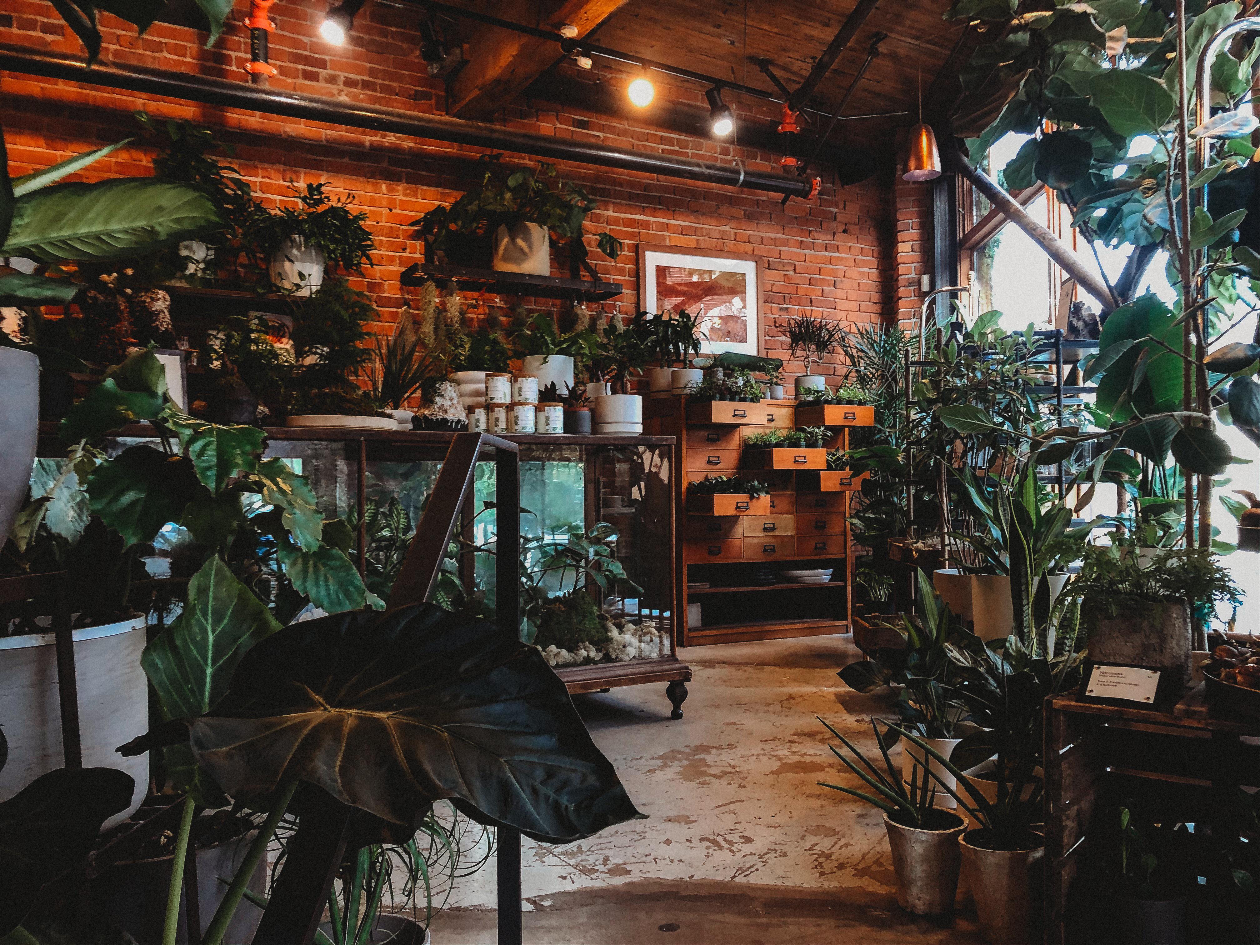 A cozy store in Seattle. r/CozyPlaces
