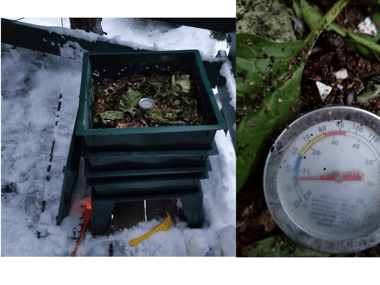 I'm getting through winter pretty well r/Vermiculture
