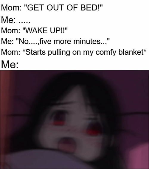 Mom = World's best alarm clock r/Animemes