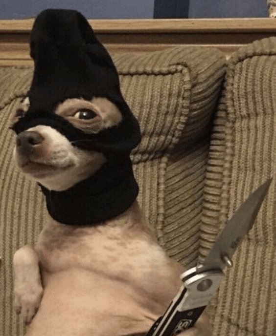 PsBattle A dog with a knife and mask