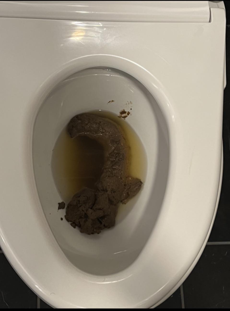 Curved r/poop