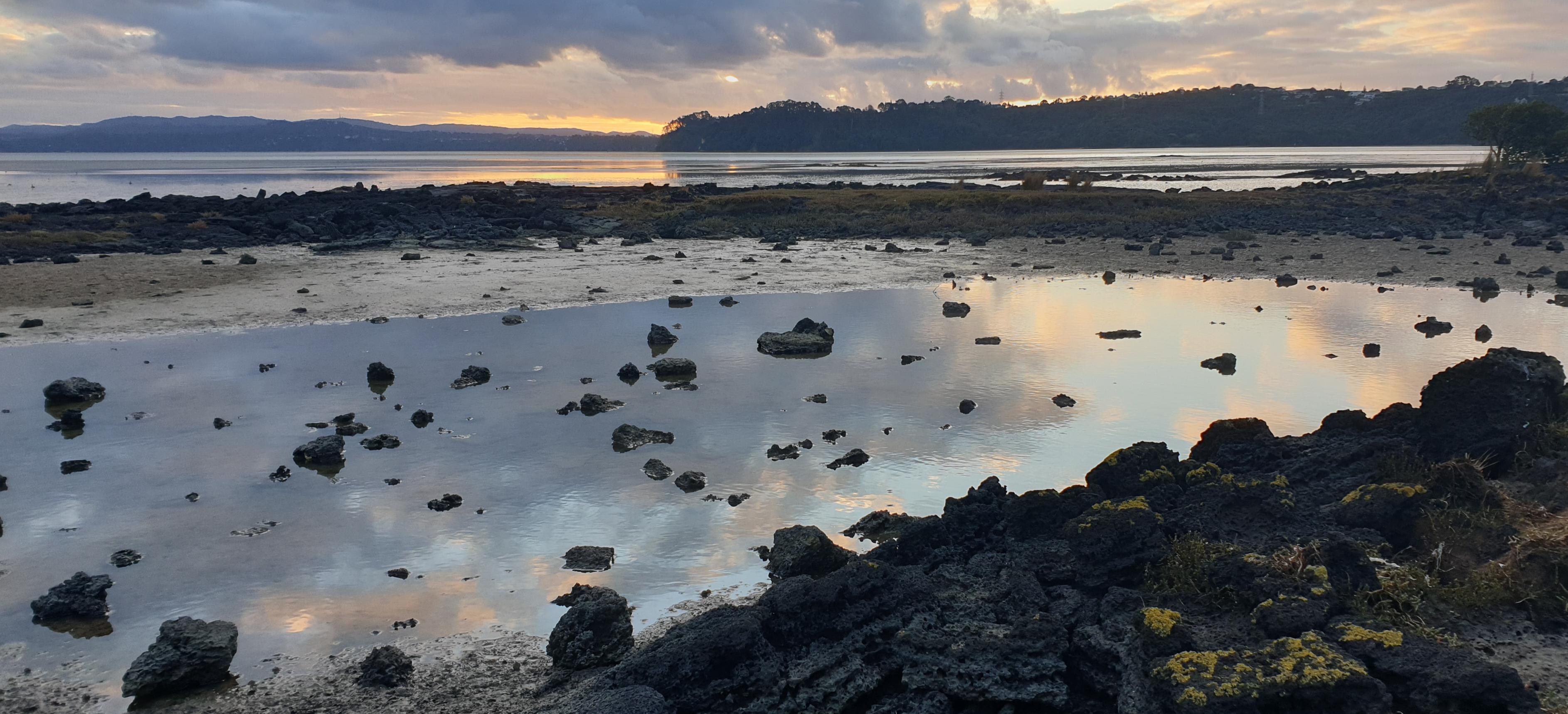 Manukau Harbour Reflections r/auckland