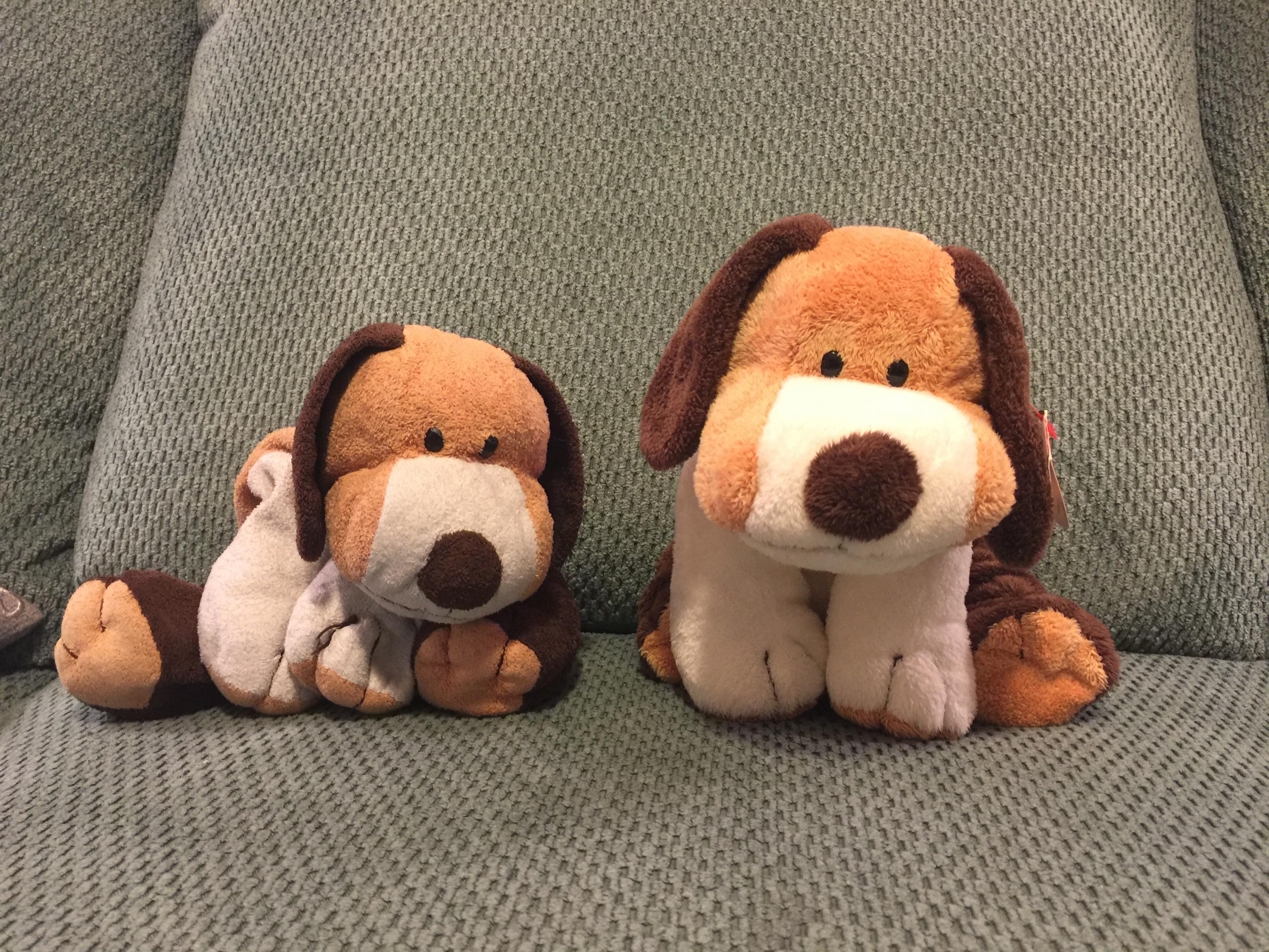 My son’s 13 yearold stuffed dog beside a new one r/Wellworn