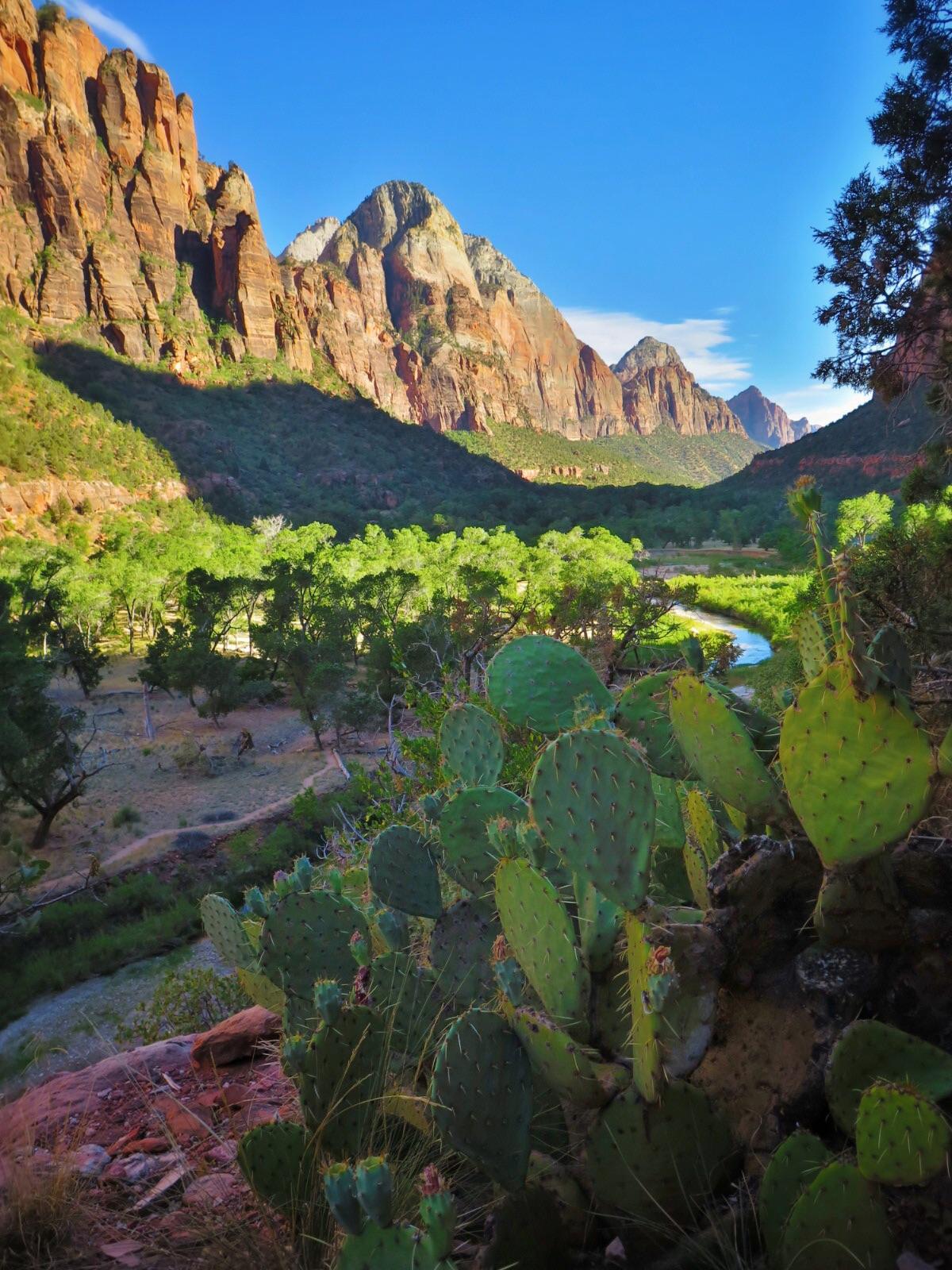 Kayenta trail in Zion National Park. r/NationalPark