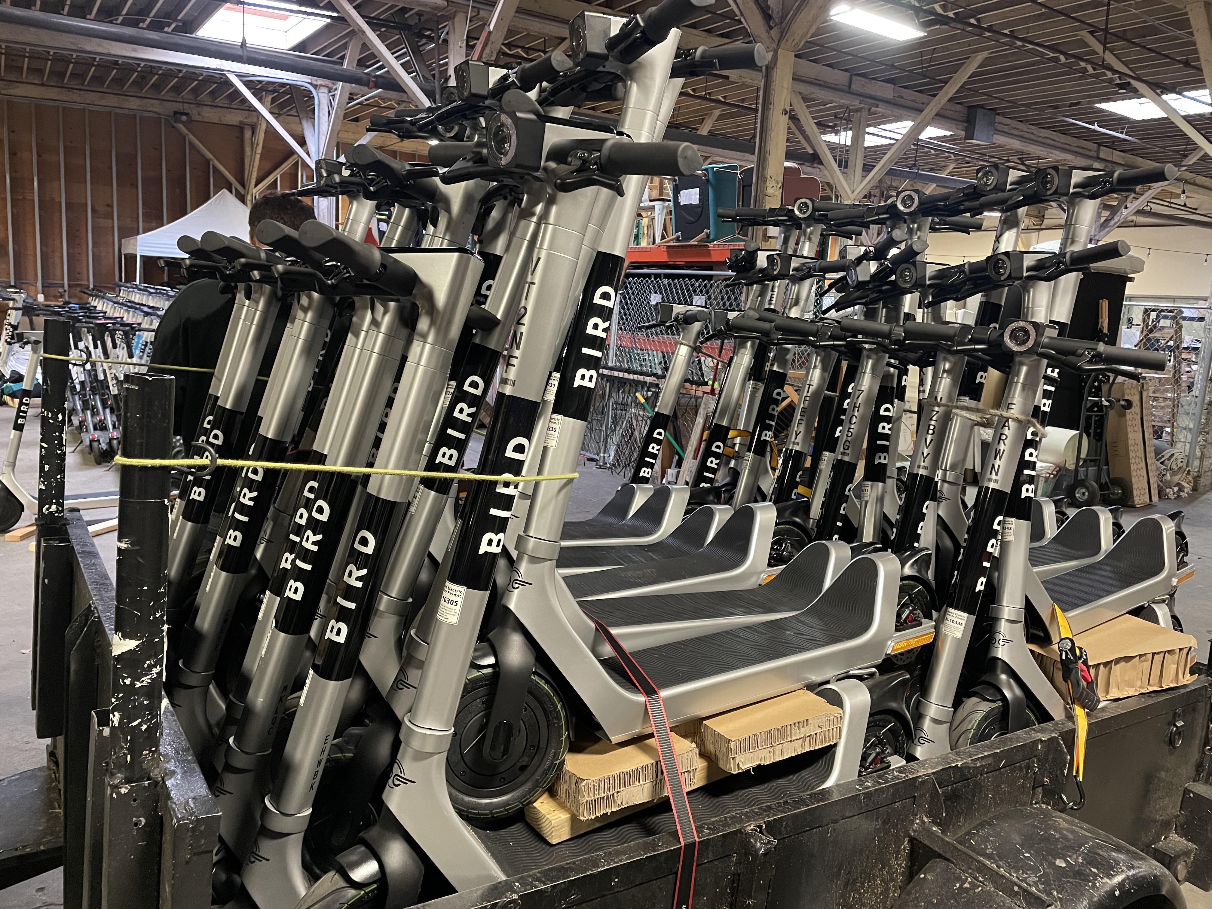 21 best r/birdscooter images on Pholder | bird gave me an unlimited