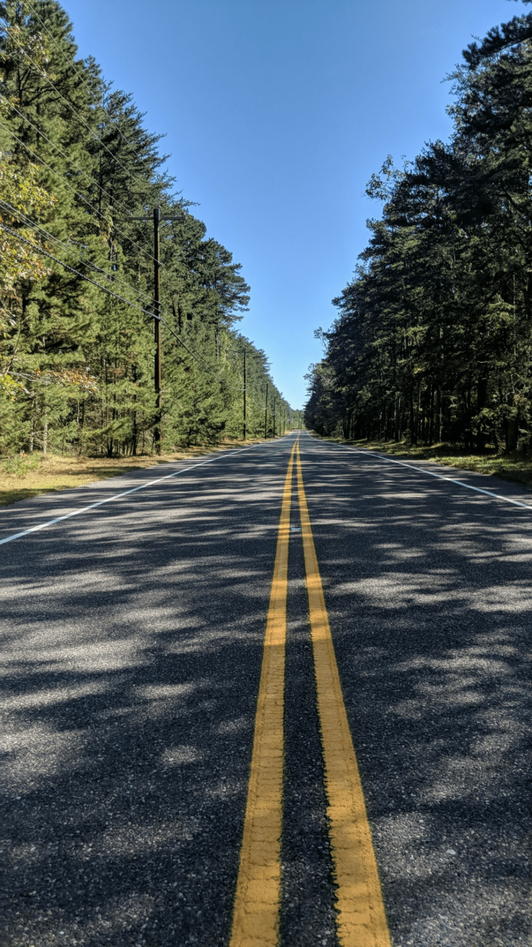 Pine Barrens Road r/newjersey