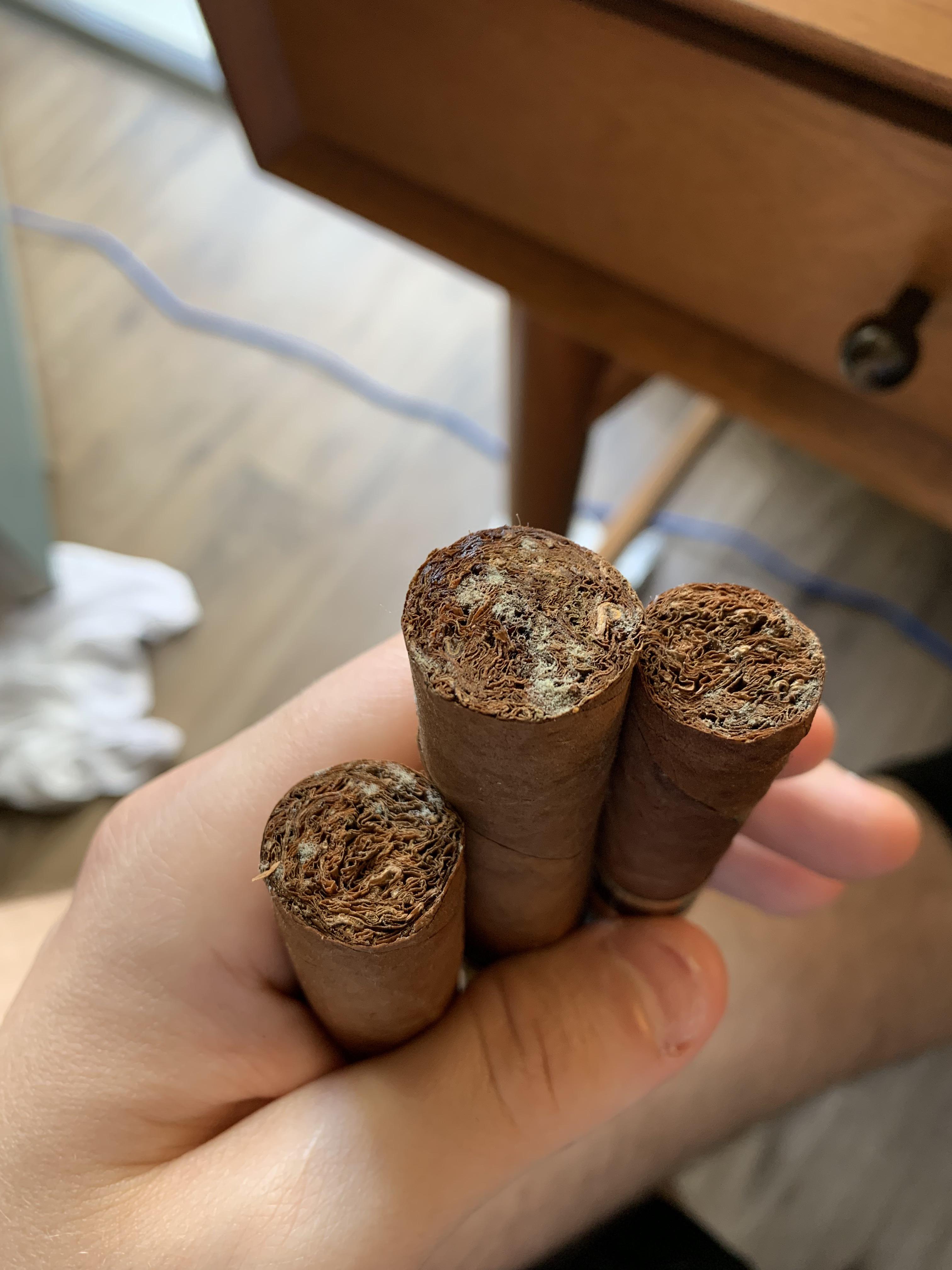 Is this mold growing on my cigars? r/cigars