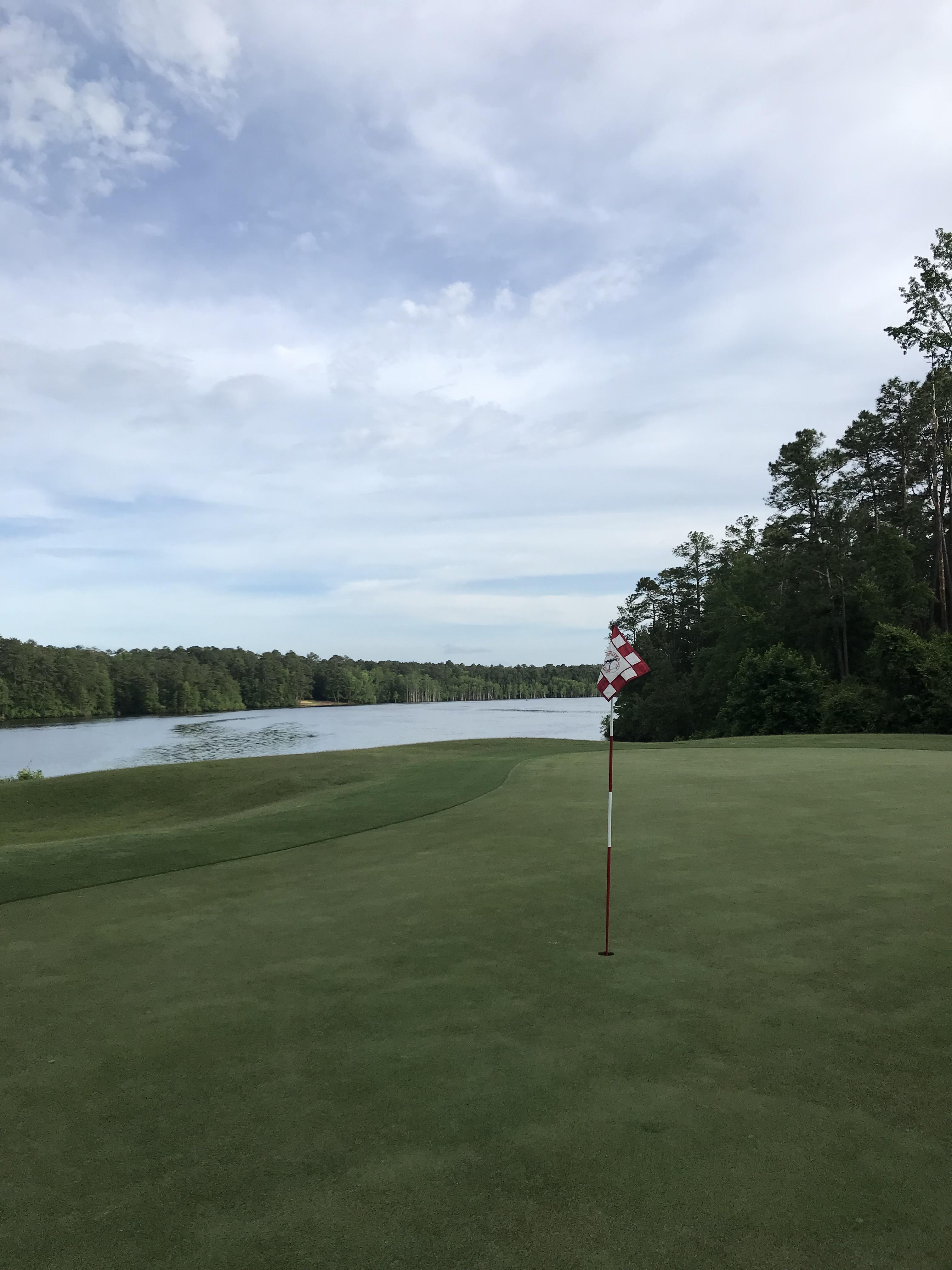 17th green at Cheraw State Park in Cheraw, SC r/golf