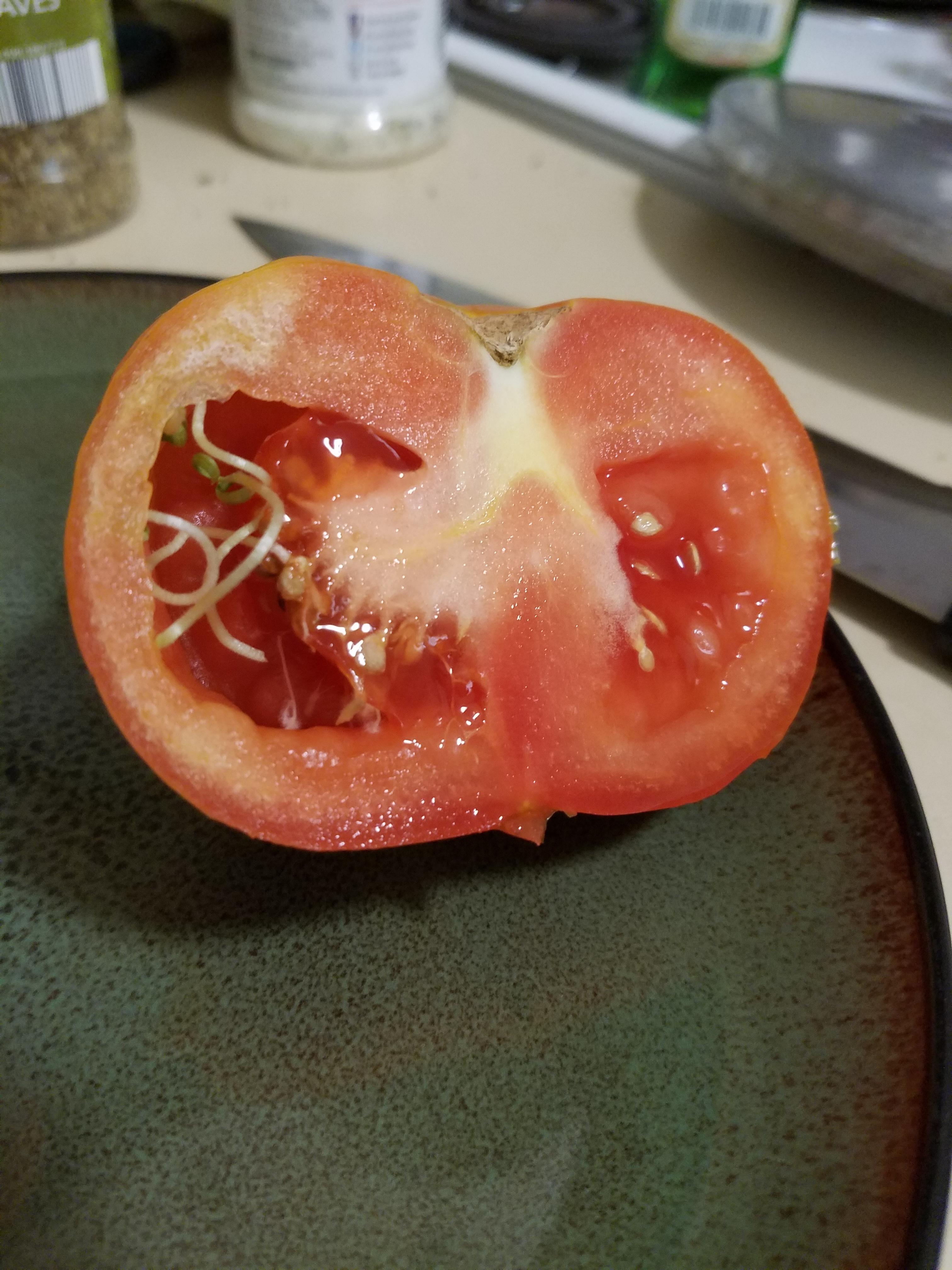 I think my tomato is pregnant... r/pics