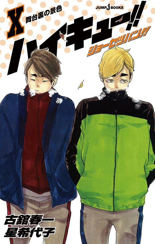 Haikyuu Light Novel Vol. 10 Cover haikyuu