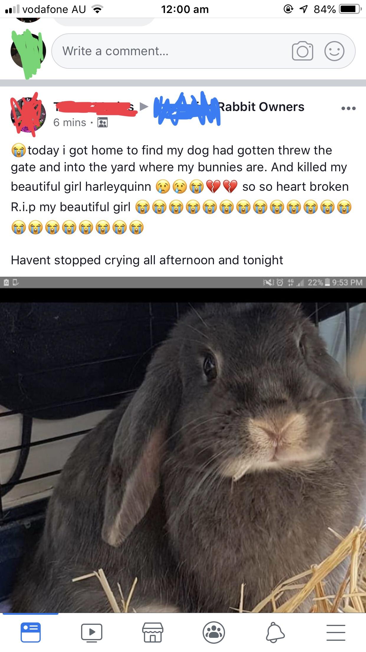 As a rabbit owner myself this makes my blood boil. Saddest part is most