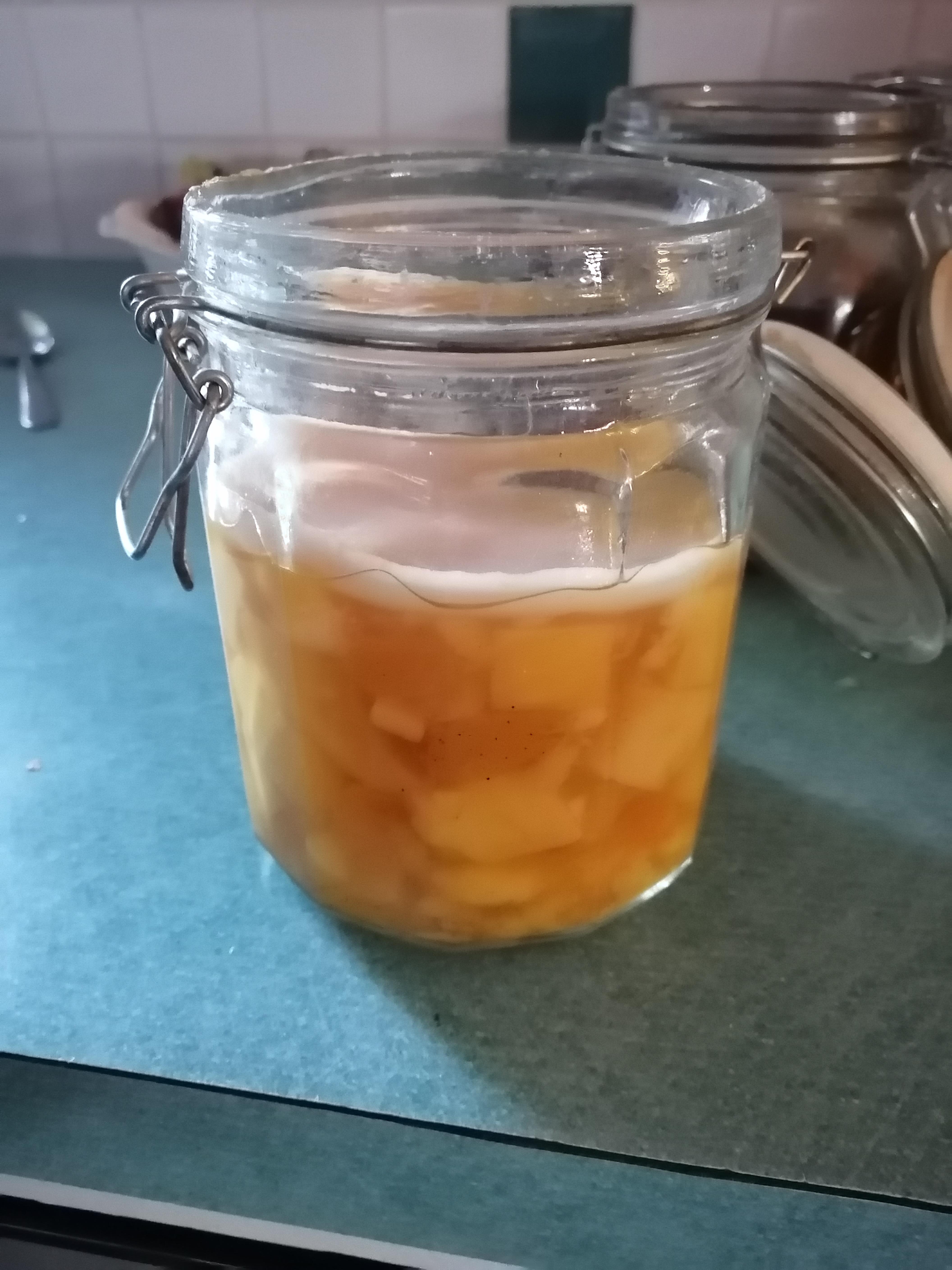 Spontaneous kombucha from palm sugar, mango, cardamom, and apple cider vinegar. Safe to use? Is