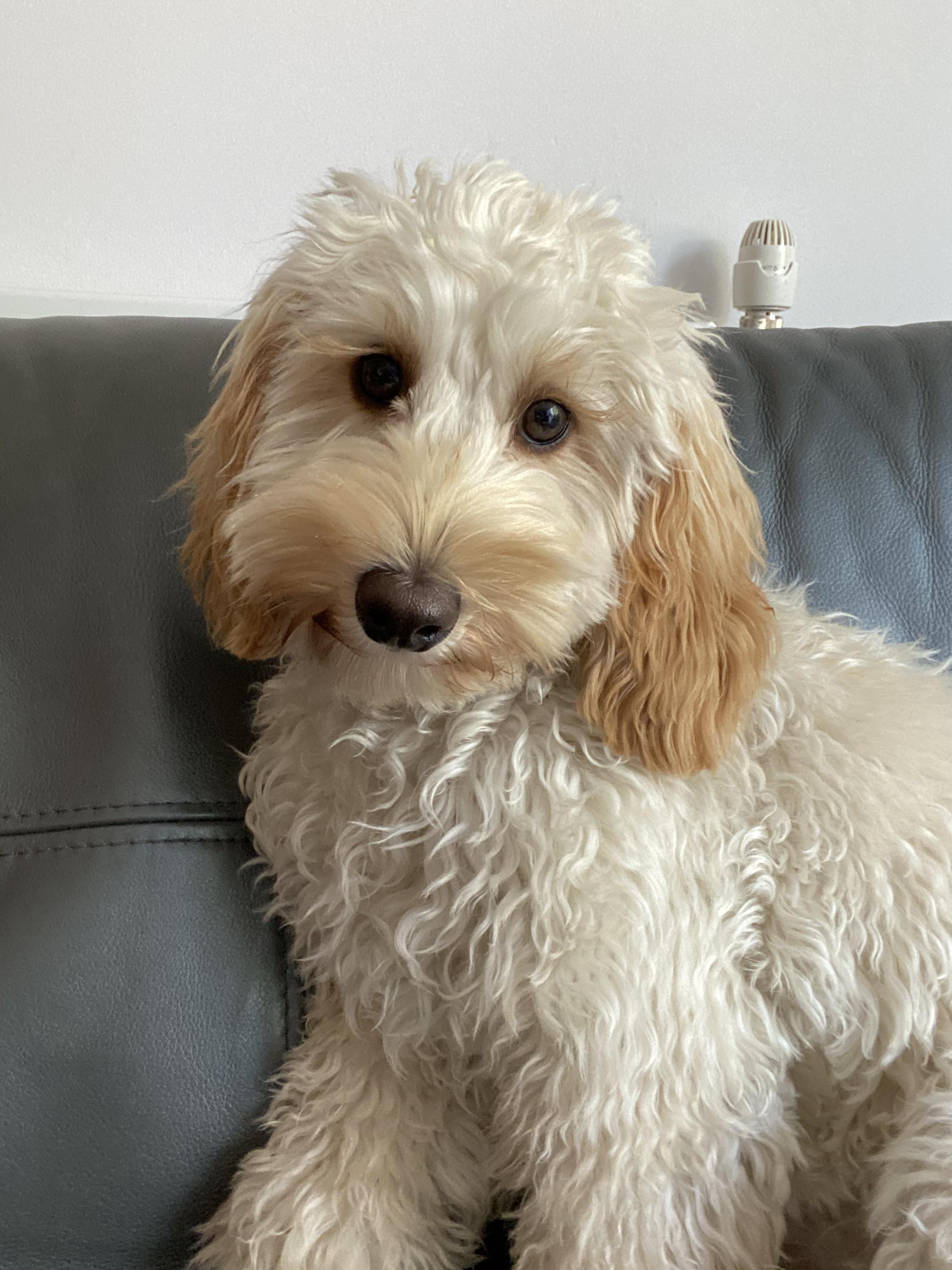 11 best u/winklez images on Pholder Thick, London and H3h3productions