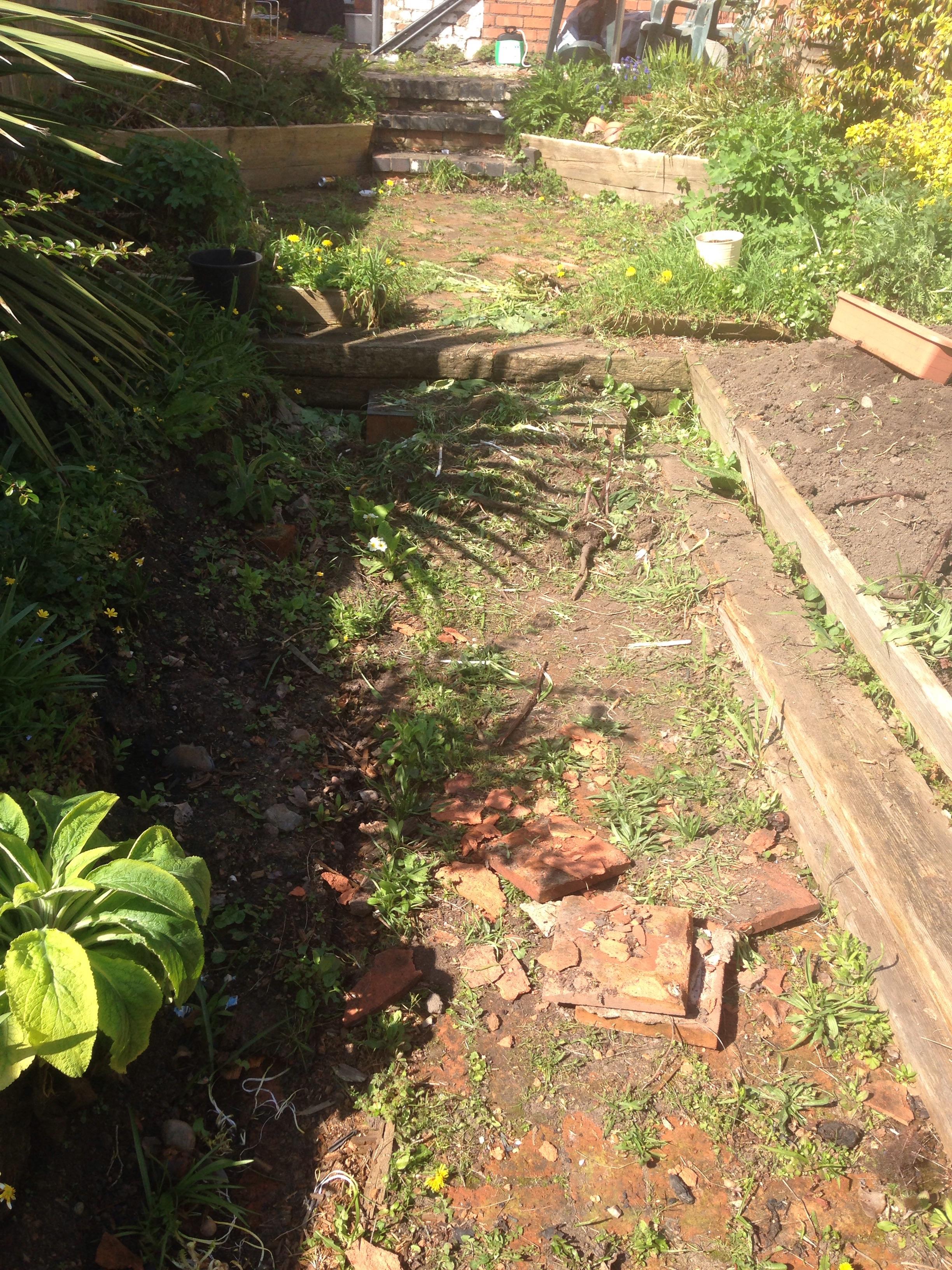 How can we fix up our garden? r/gardening