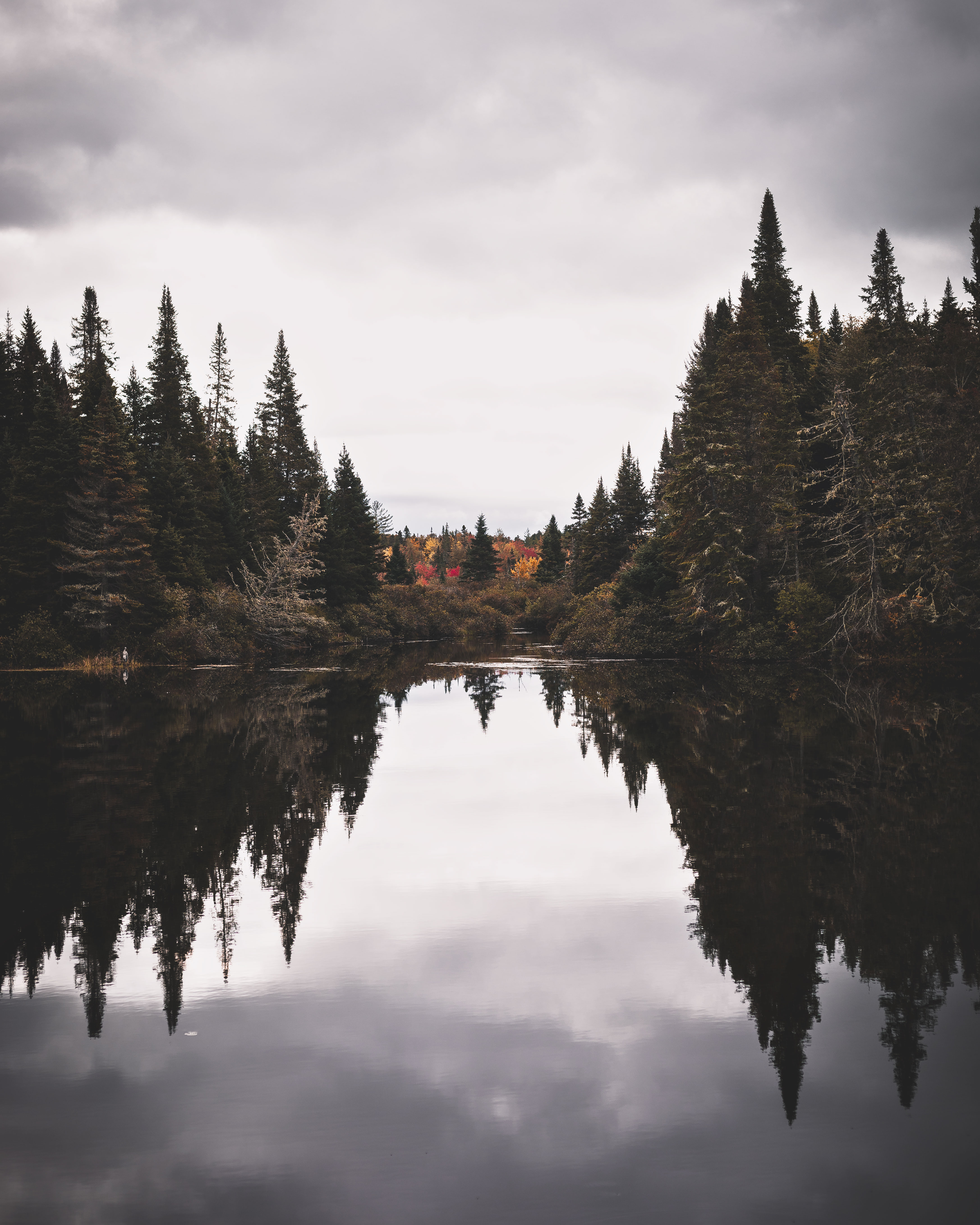 ITAP of the view from our campsite in Errol, NH r/itookapicture