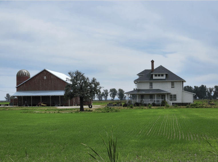 The Kent farm seems to be doing well this summer r/SupermanAndLois