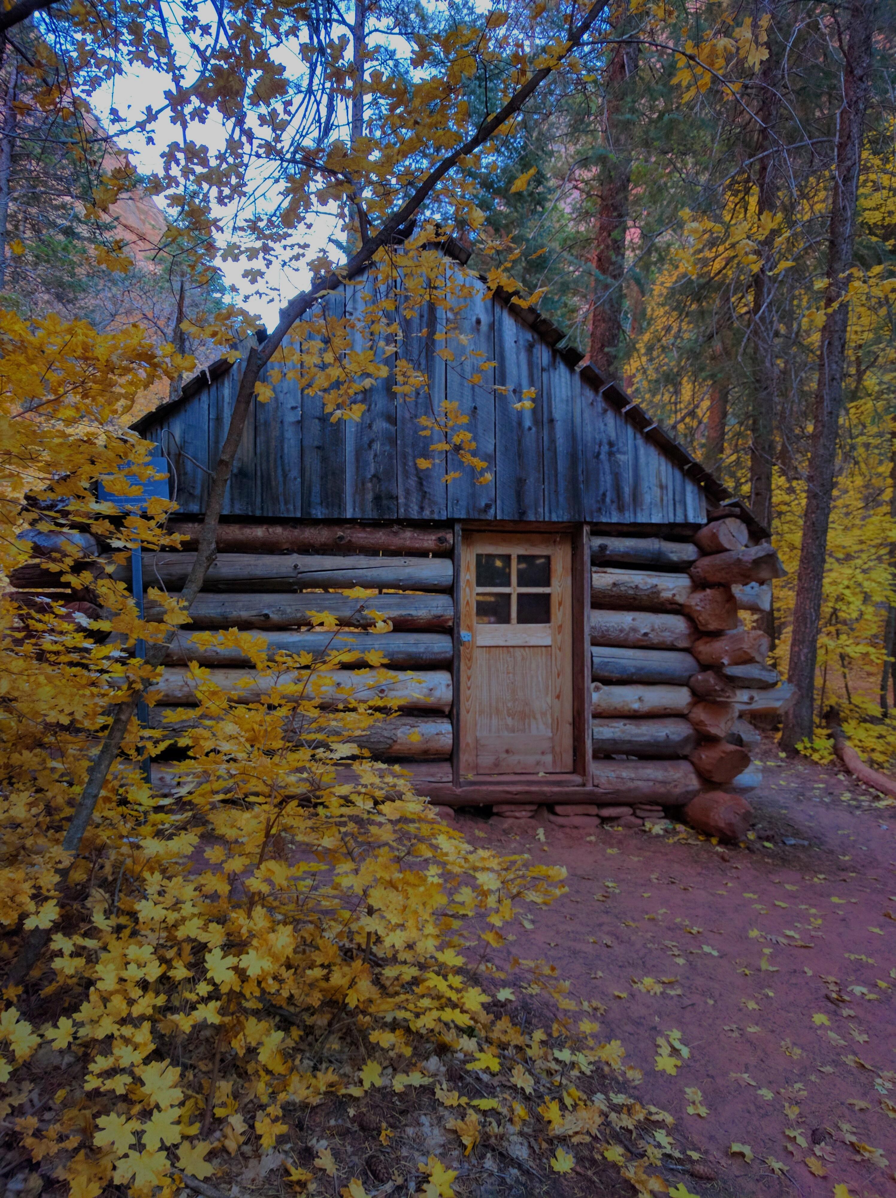Abandoned Cabin, Kolab Canyon UT [2992X4000] (taken on my phone) r