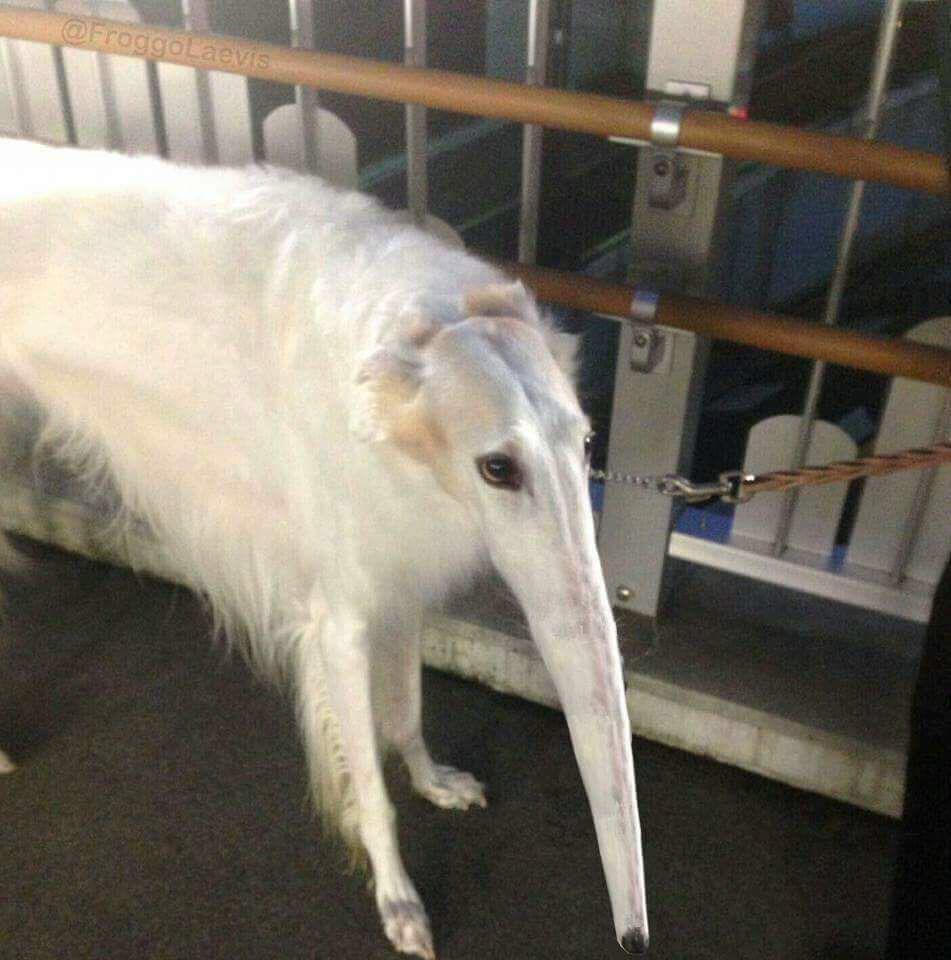 imagine not apologizing to HeyDoubleU and saying it was a “setup”. we