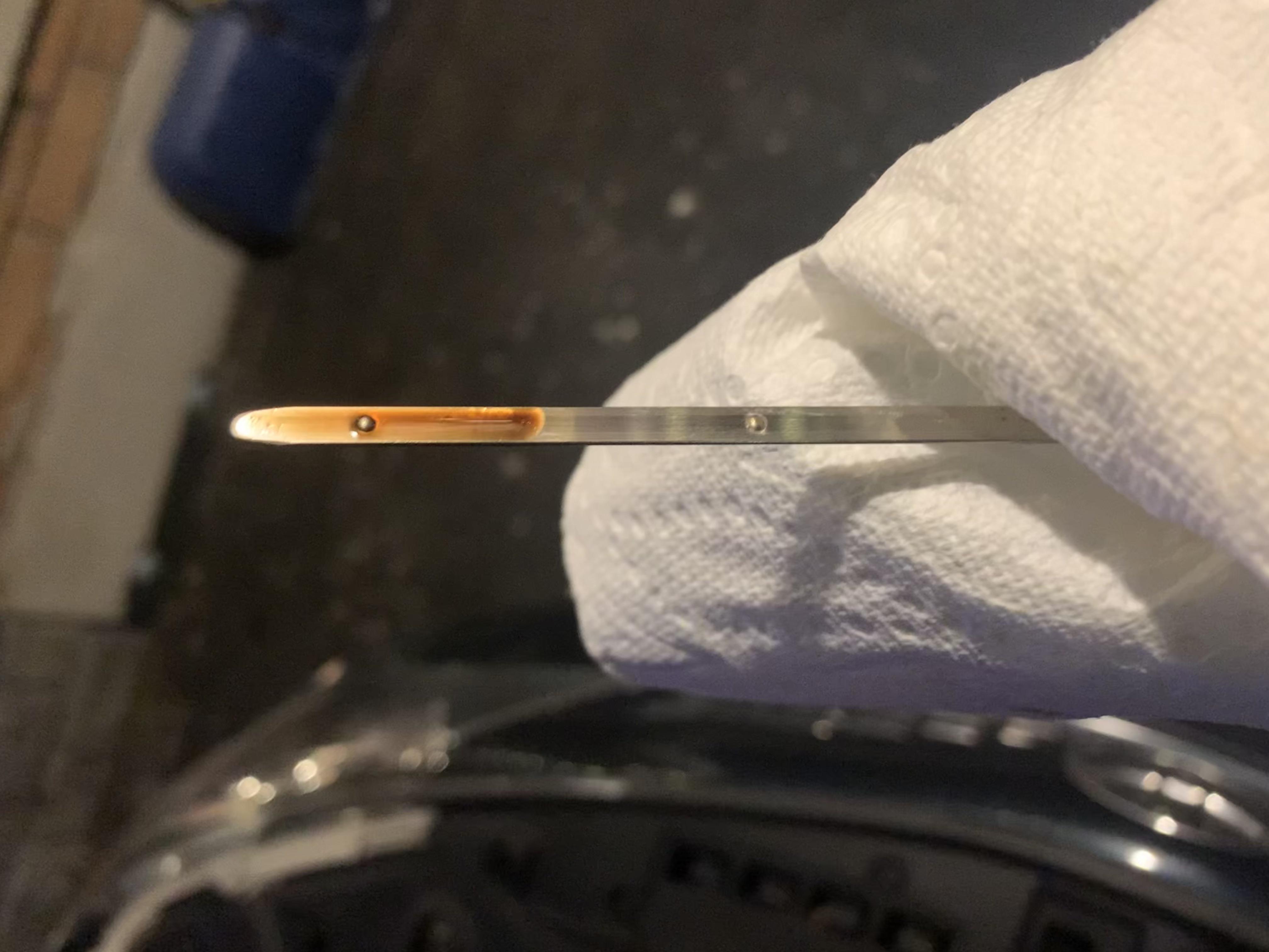 This is the oil in my 2012 Camry I purchased back in August. I am a