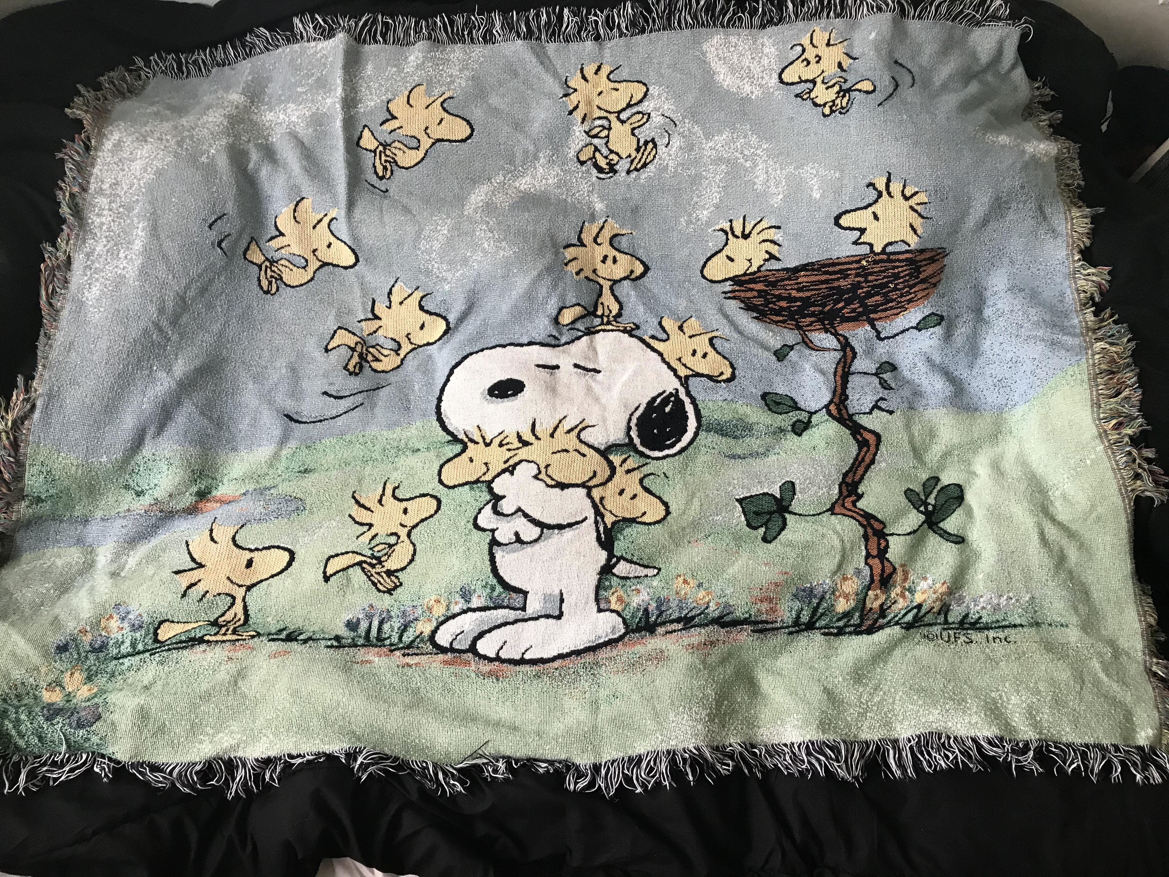 Super cute Snoopy blanket 5 r/ThriftStoreHauls