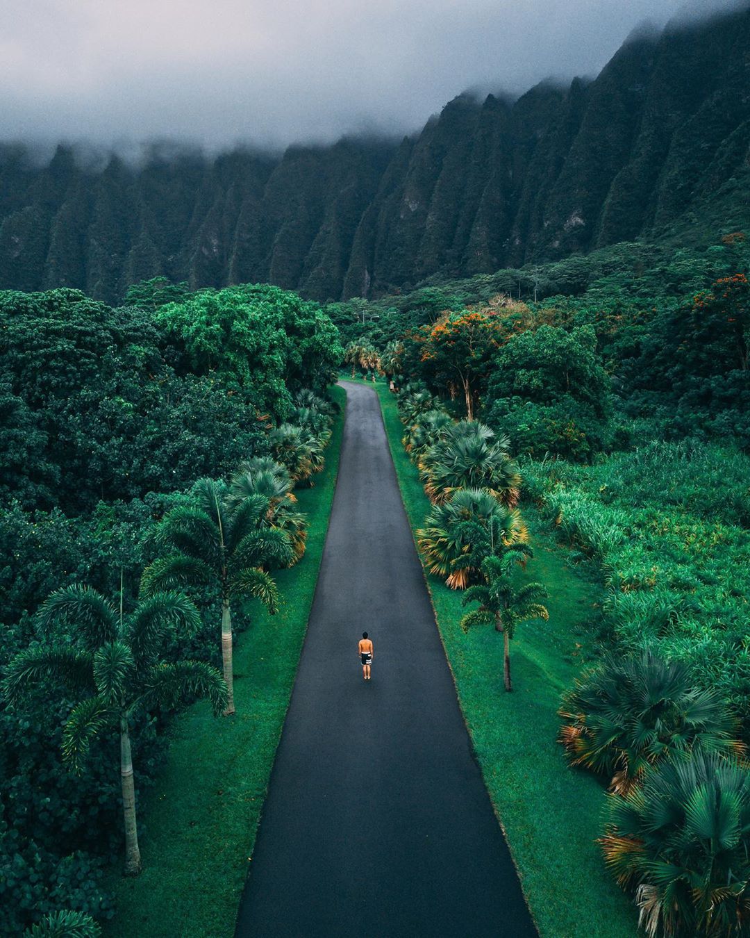 One Of The Best Roads In Hawaii Is Located On The East Side, 54 OFF