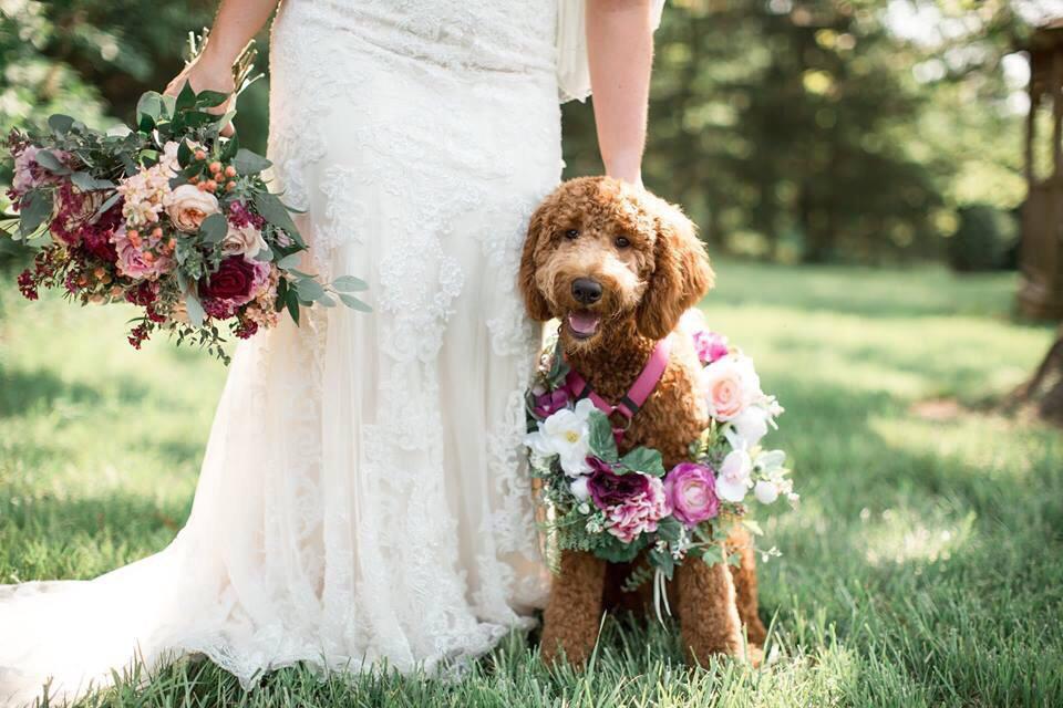 Best flower girl ever! r/rarepuppers