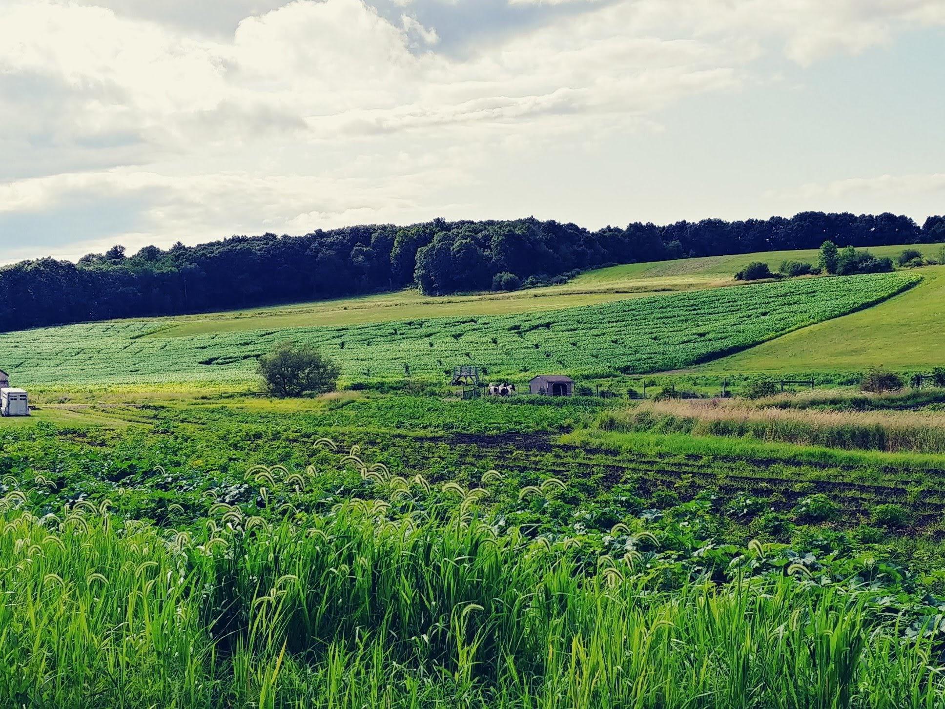 Kimball farm, Haverhill r/massachusetts