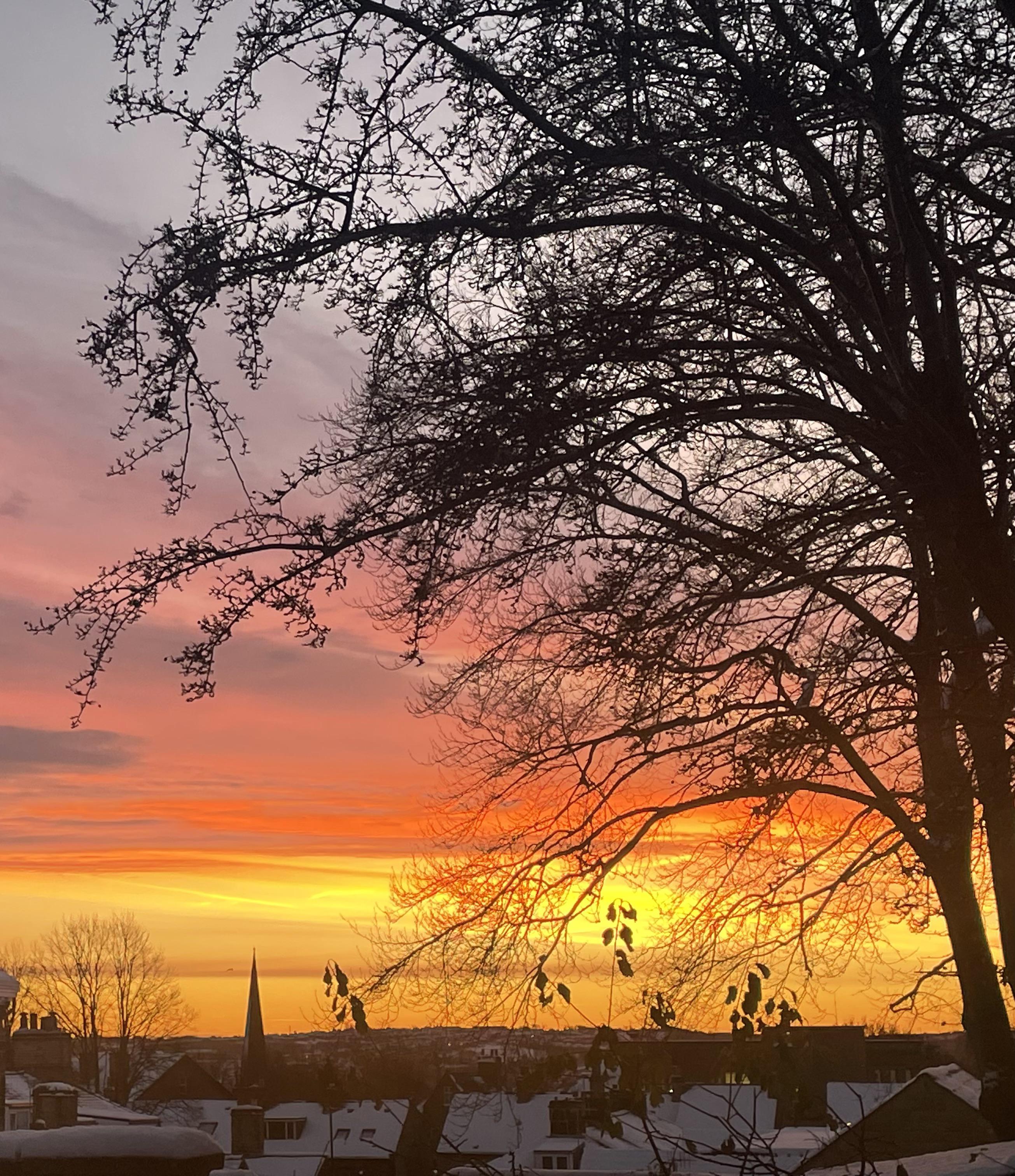 Beautiful sunrise over snowy Sheffield this morning r/sheffield