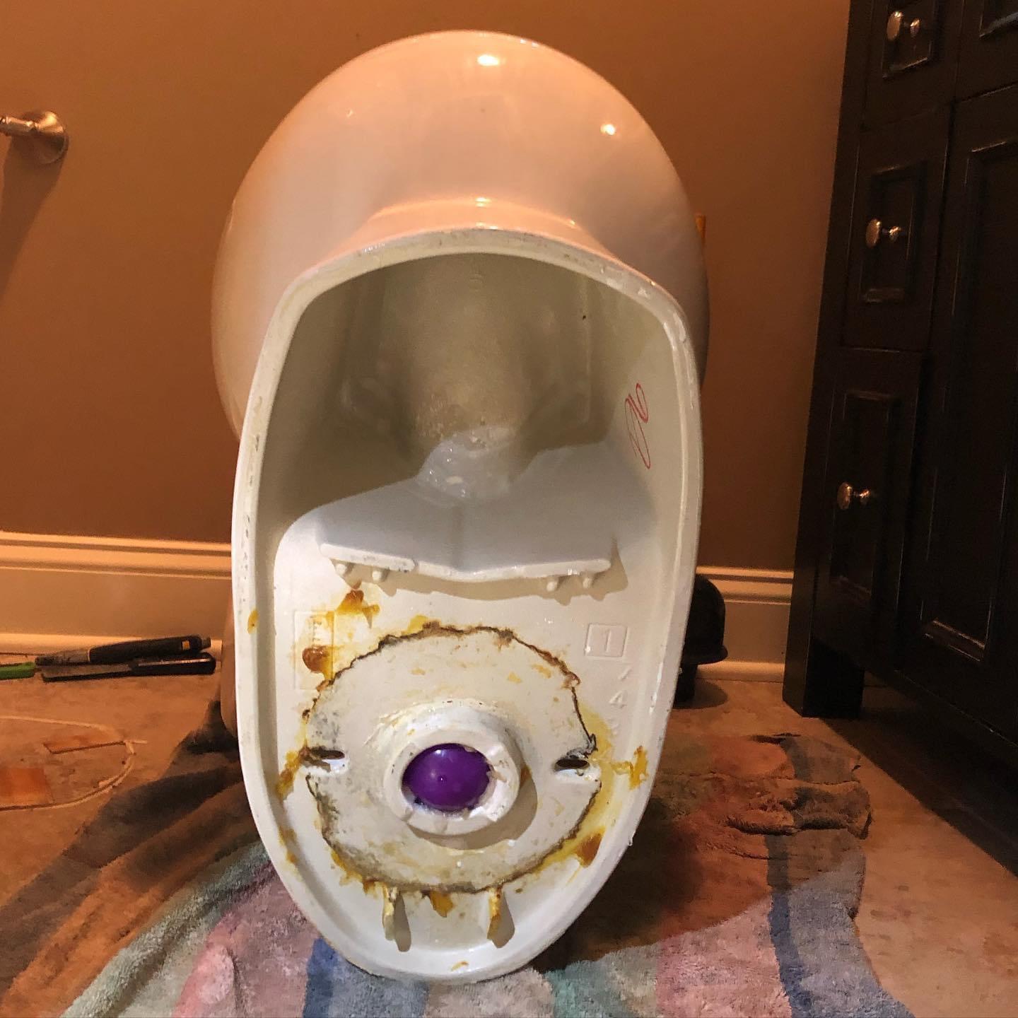 My kid’s favorite purple ball went missing the same day our toilet