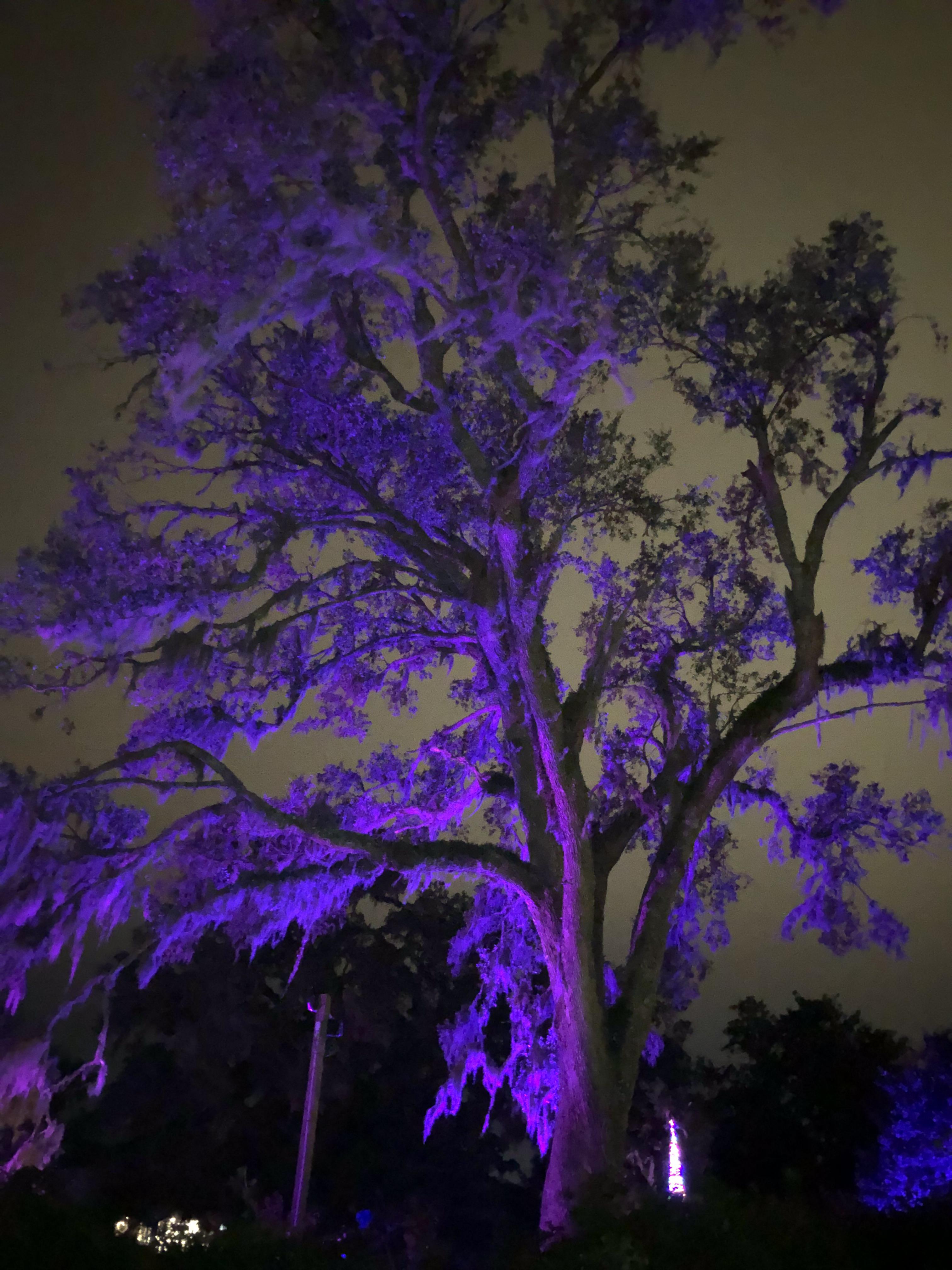 Airlie gardens light show last night. r/Wilmington