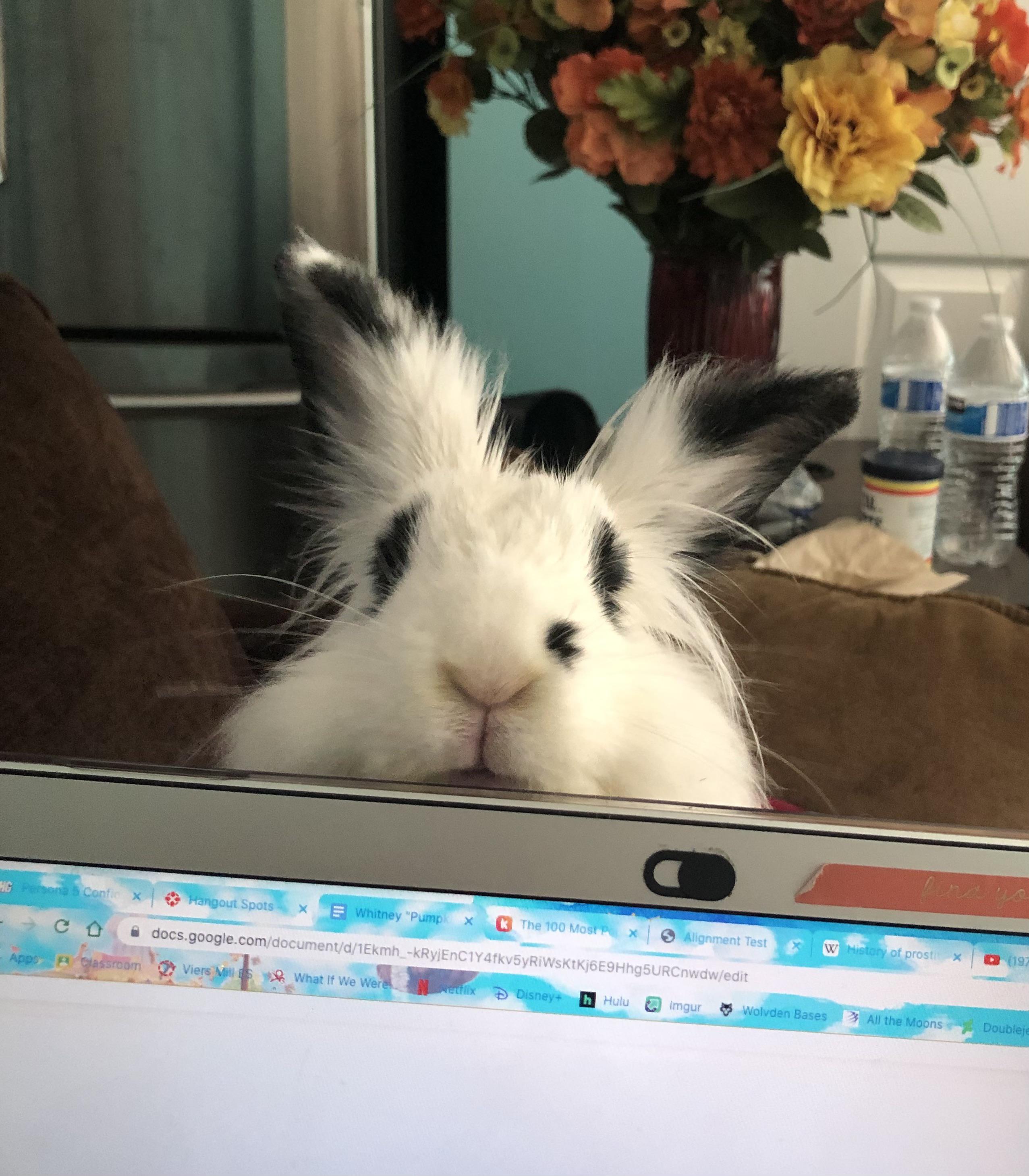 I was trying to do some writing and was reminded that I needed to take